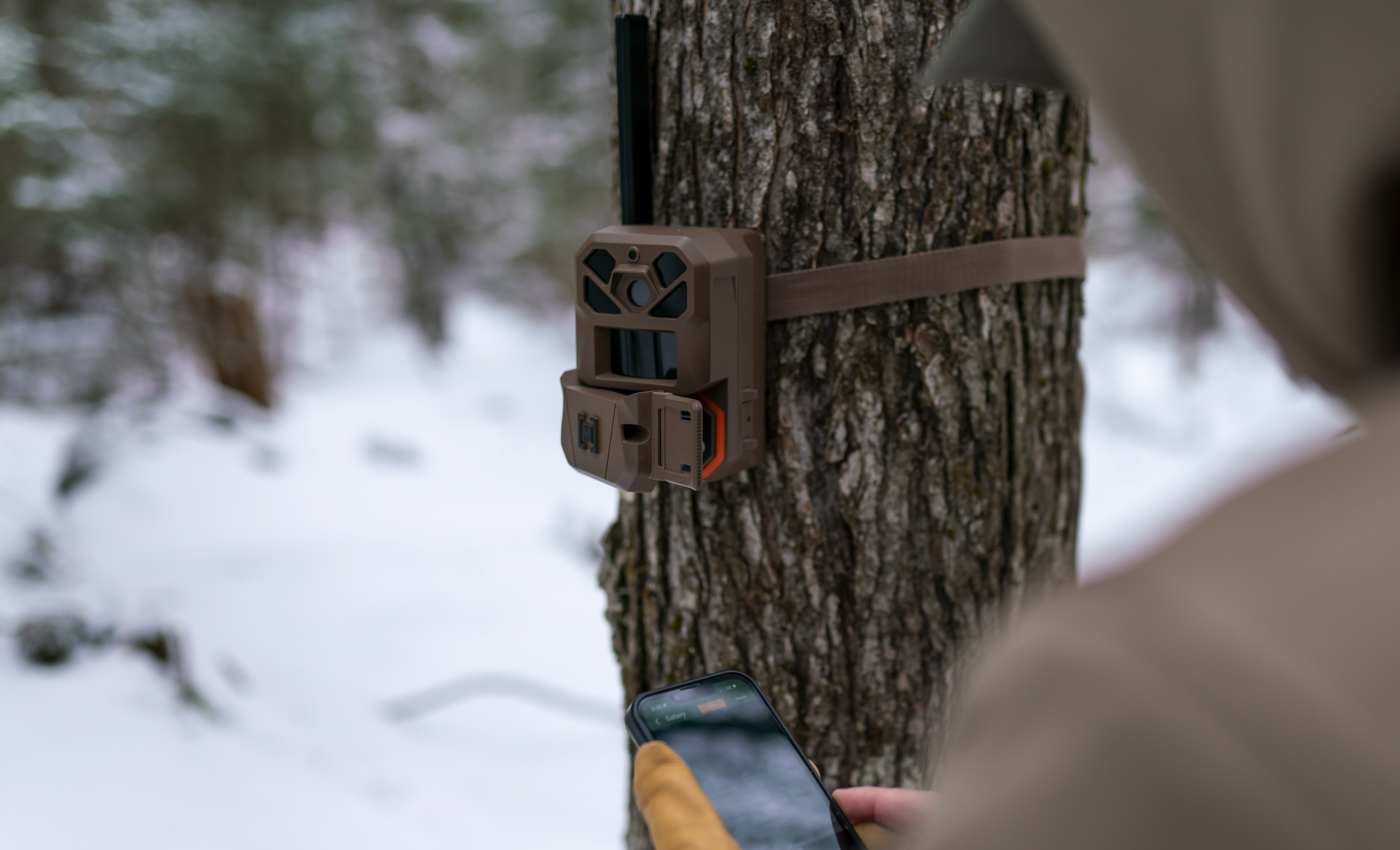 Screenshot 2026-03-19 at 4.43.01 PM.png