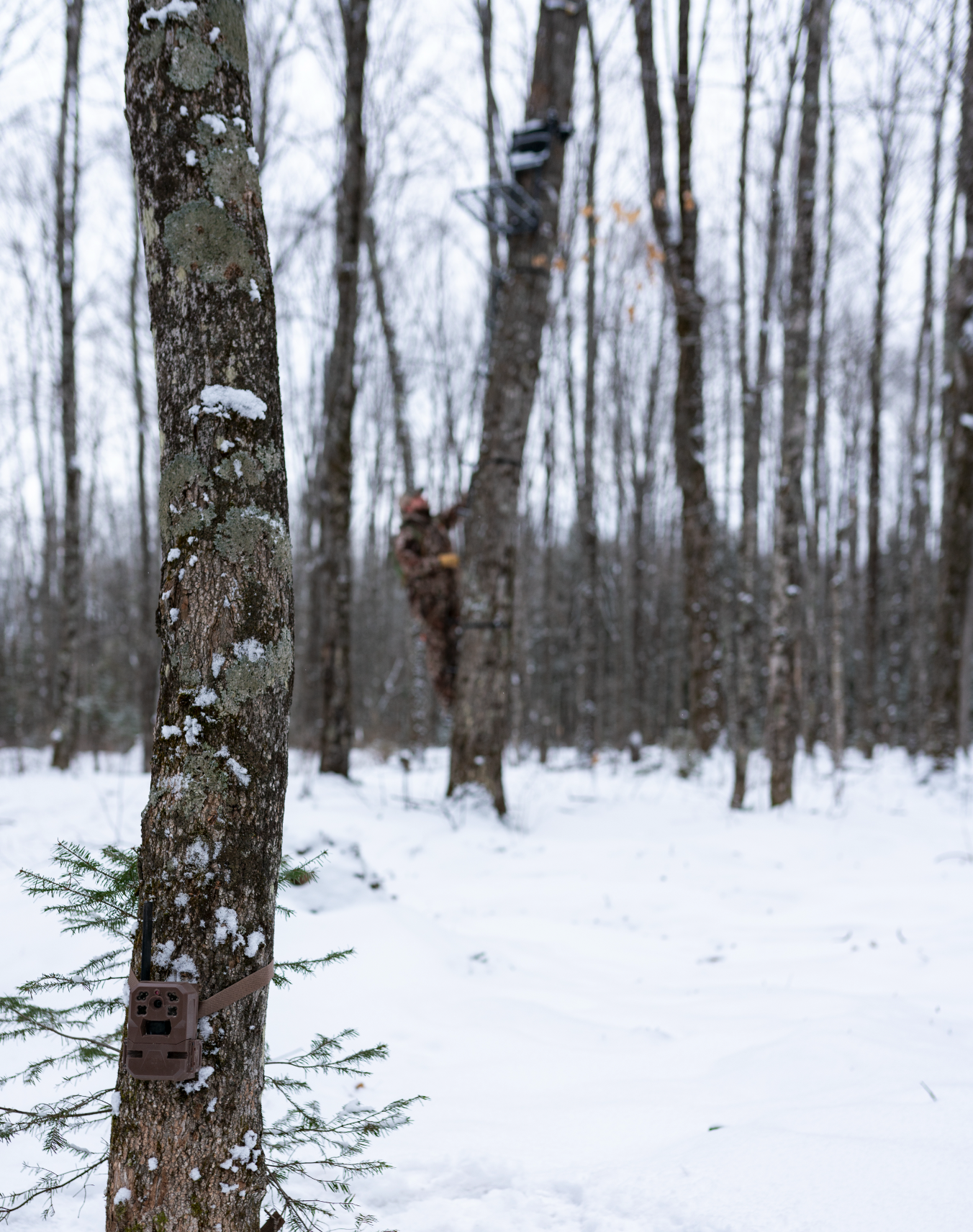 Screenshot 2026-03-19 at 4.41.52 PM.png