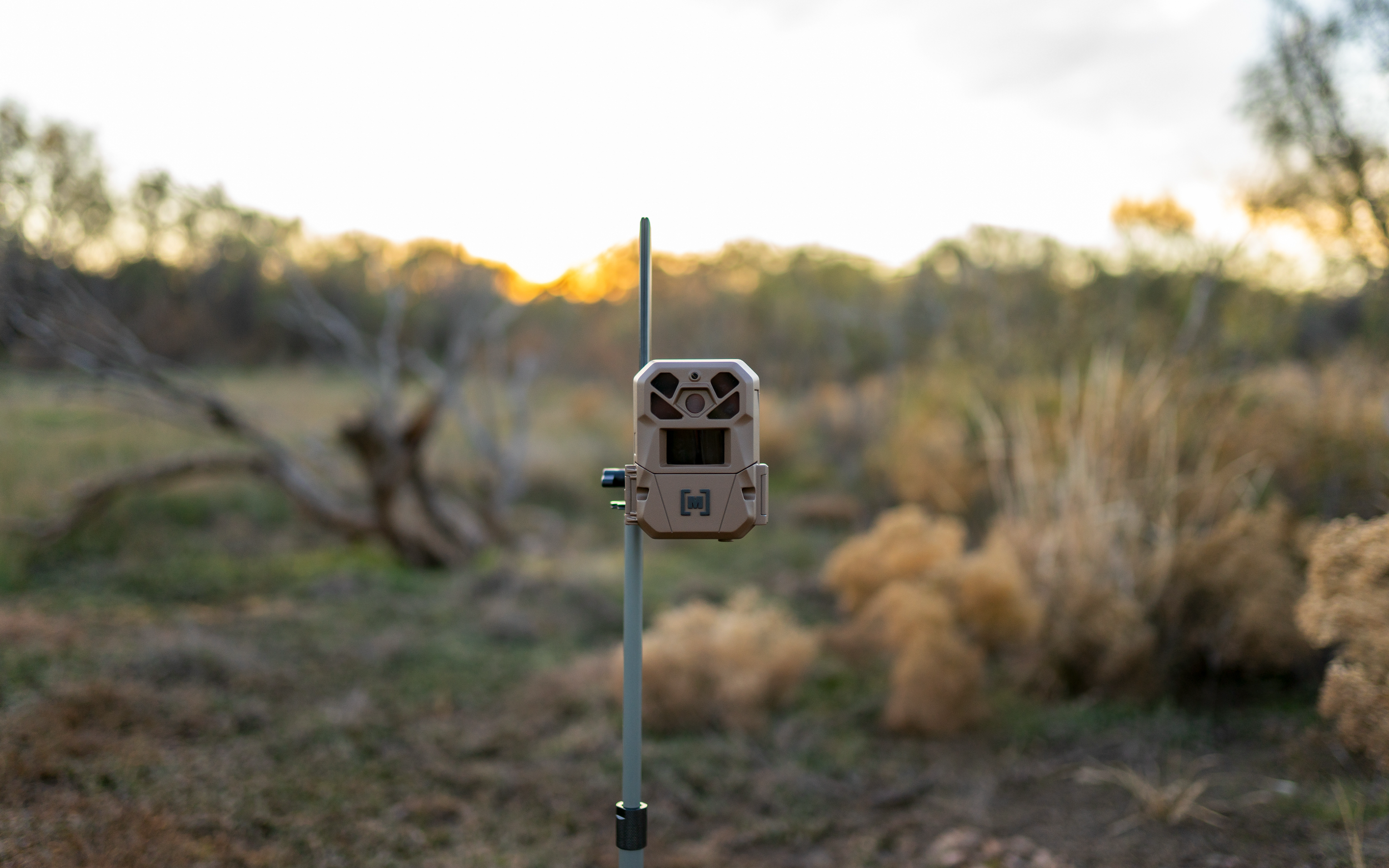 Screenshot 2026-03-19 at 4.51.02 PM.png