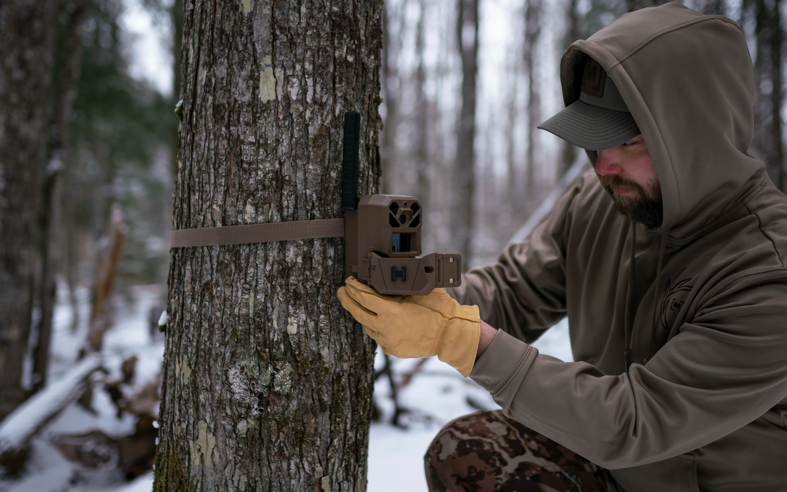 Screenshot 2026-03-19 at 4.42.46 PM.png