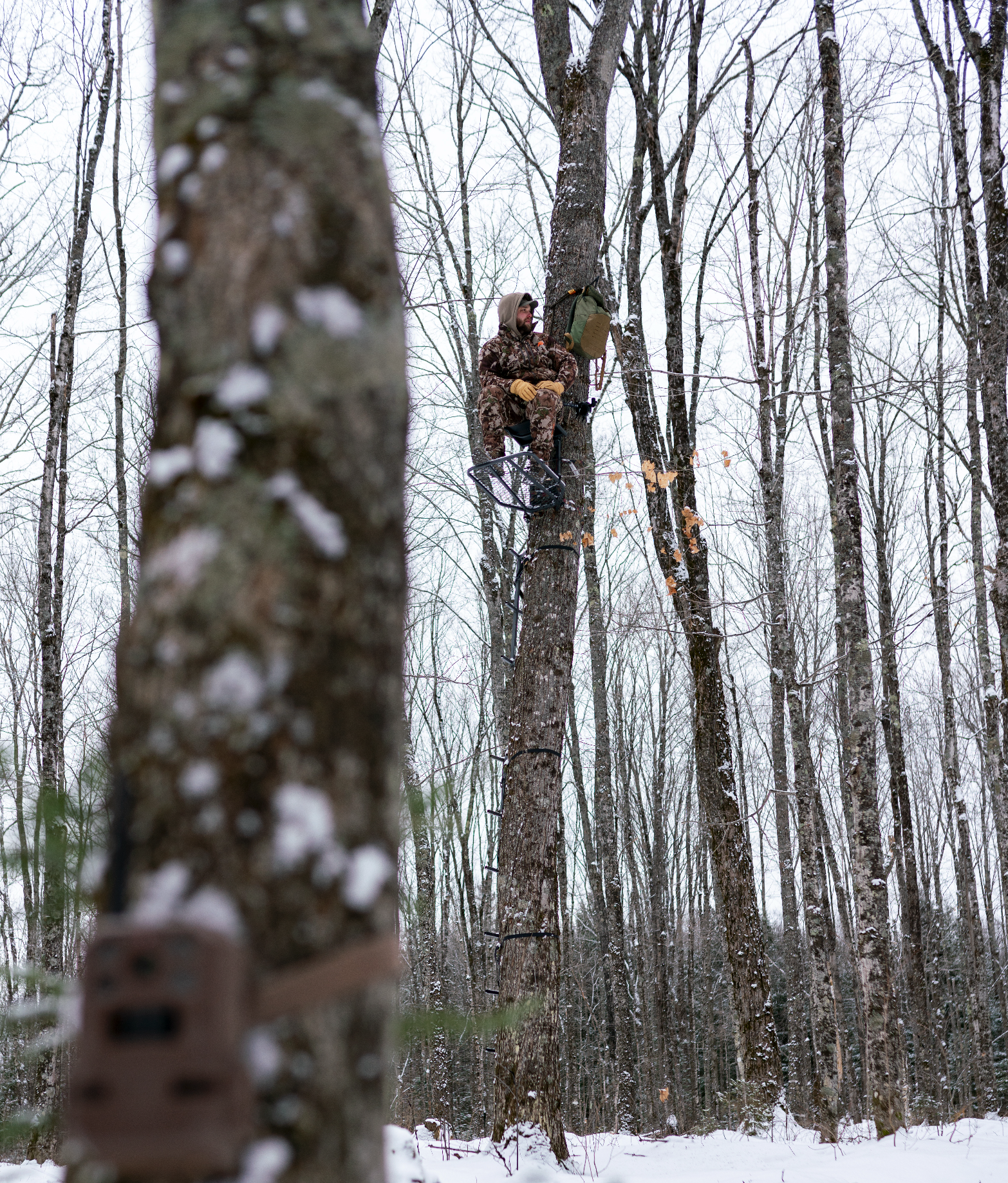 Screenshot 2026-03-19 at 4.42.12 PM.png