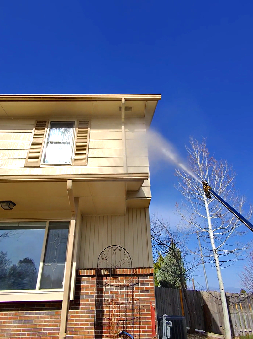 Low-pressure soft-wash rinsing dirt and algae from light-colored siding without damaging paint or landscaping