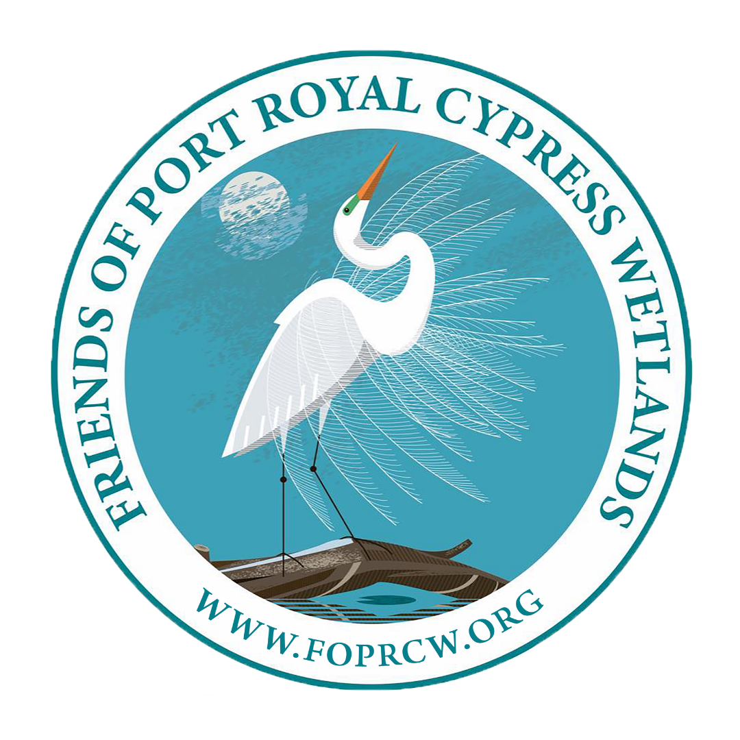 Port Royal Cypress Wetlands