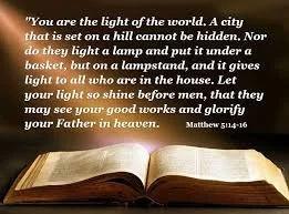 Homily February 8, 2026, Rev. Holly Cardone