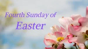 St. Thomas Tidings, April 23, 2026