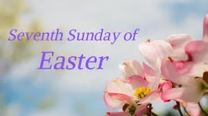 Homily, May 17, 2026. Rev. Holly Cardone