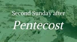 Homily, June 7, 2026, Rev. Holly Cardone