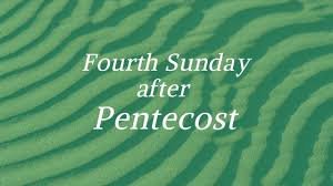 Homily, June 21, 2026, Rev. Holly Cardone
