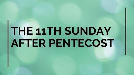 Homily, August 9, 2026, Rev. Holly Cardone