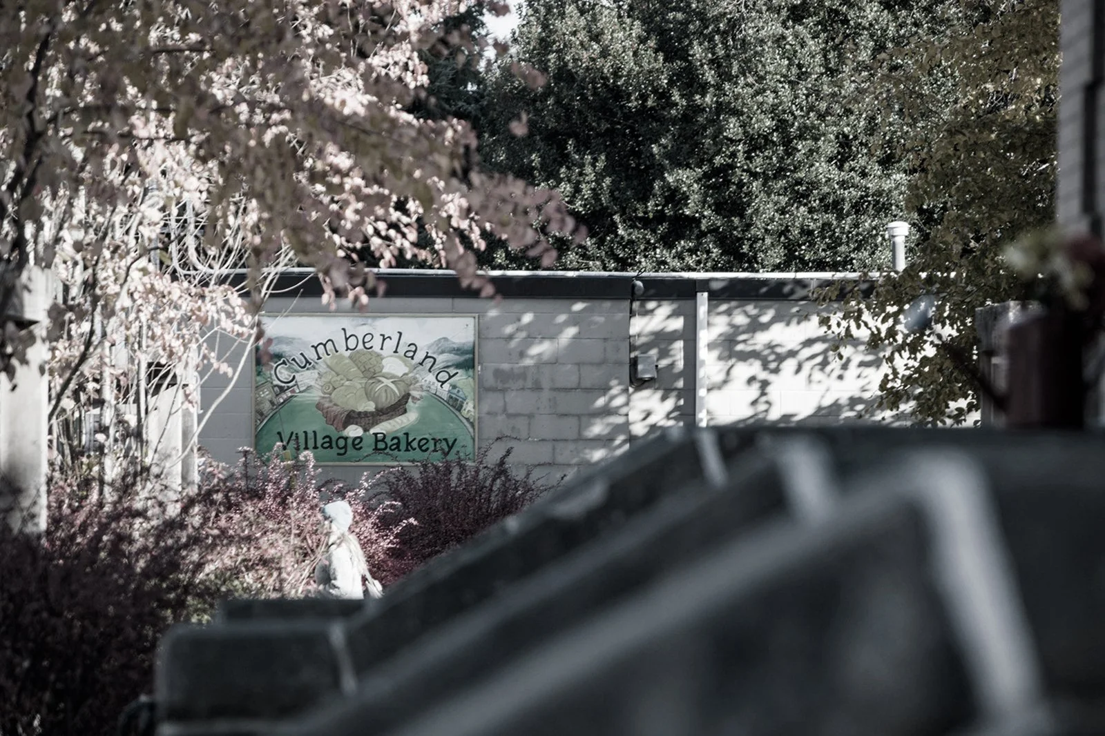 Village-Bakery-copy-soft.jpg
