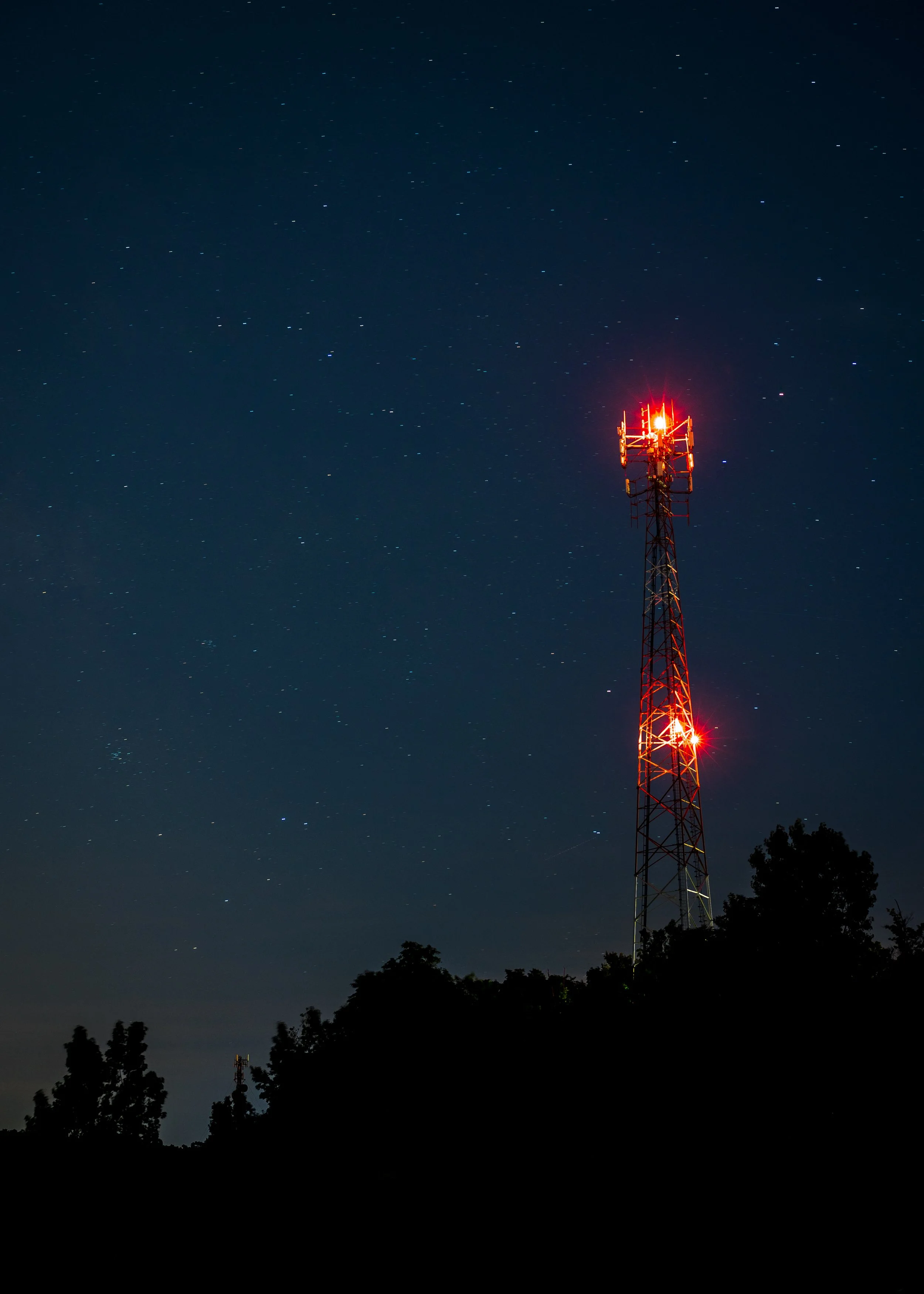 SNY02085.jpg