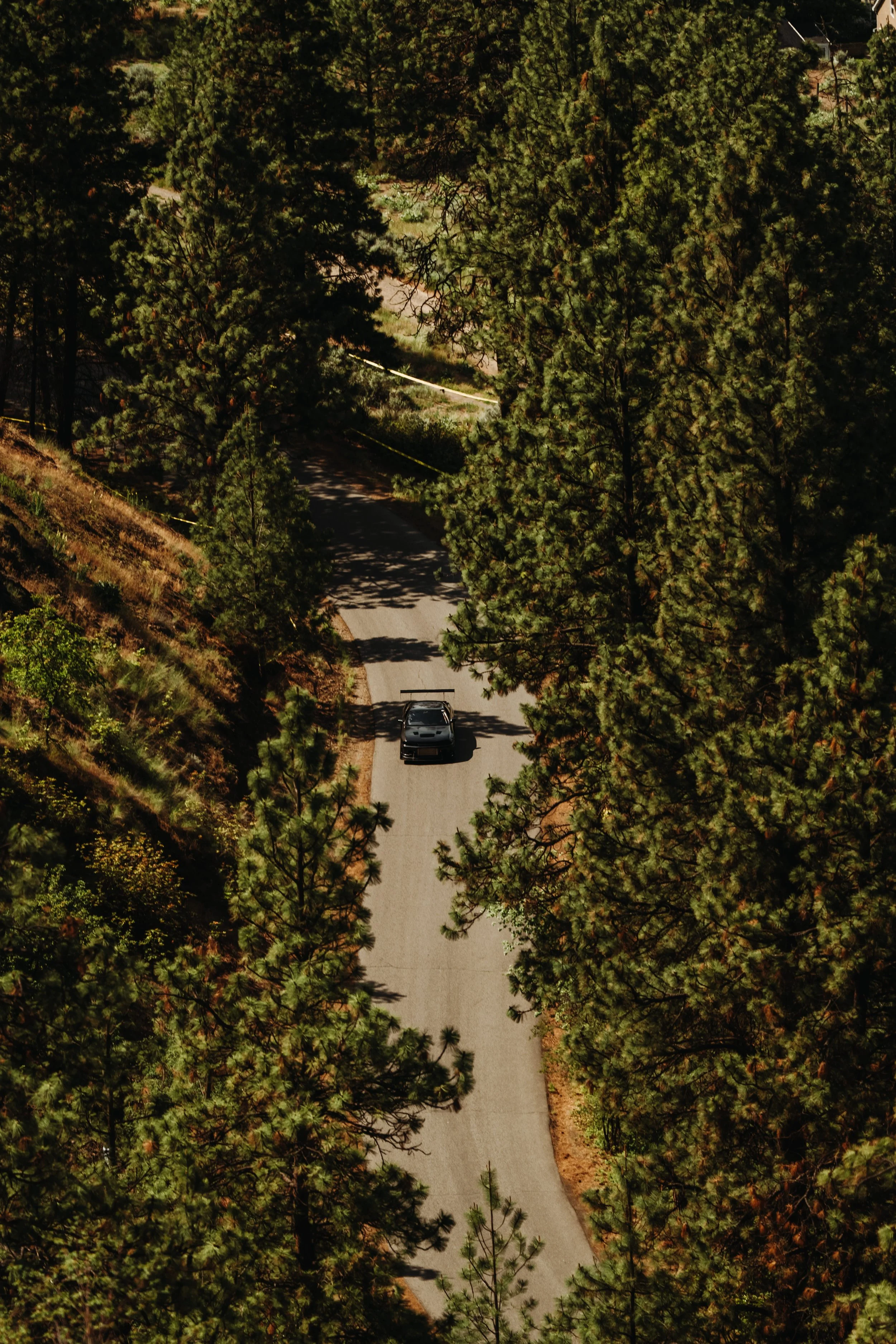 MAY 17 2025 (Hillclimb)-27.jpg