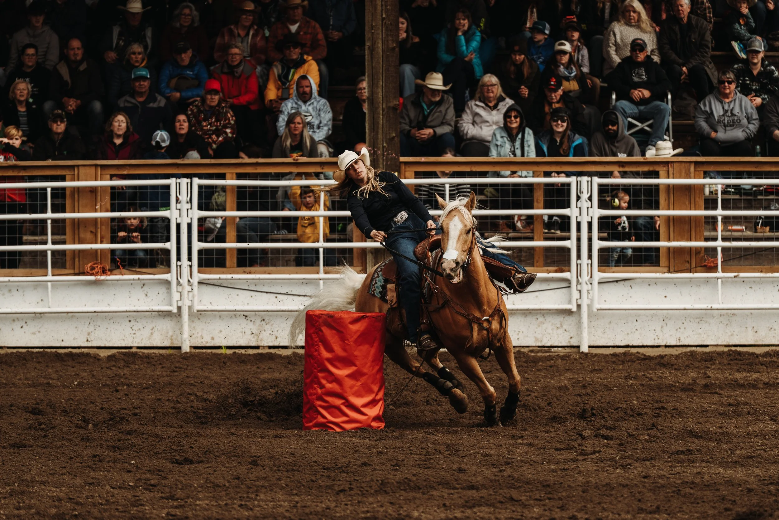 MAY 19 2025 (Rodeo)-05.jpeg