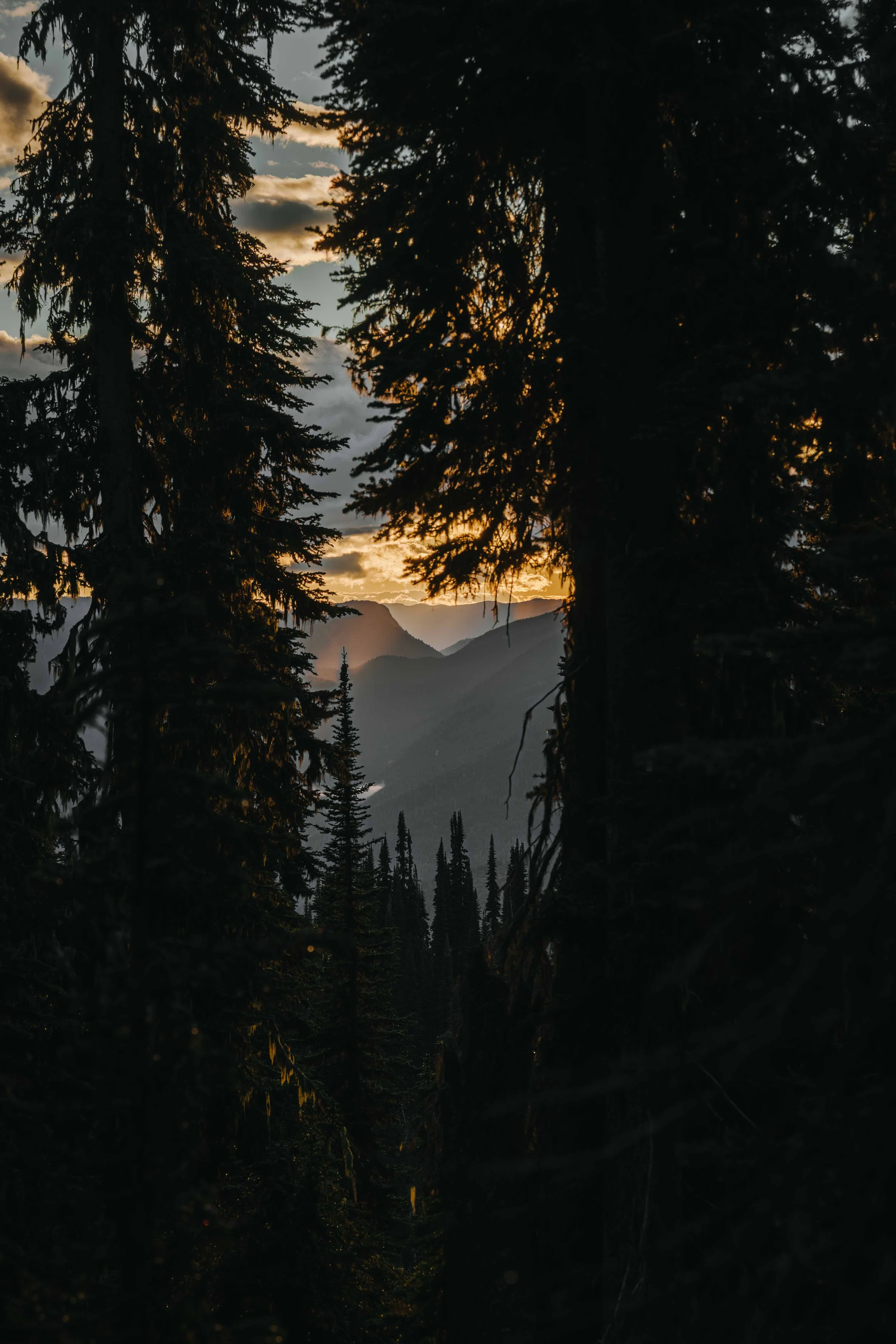 website versions -08.jpg