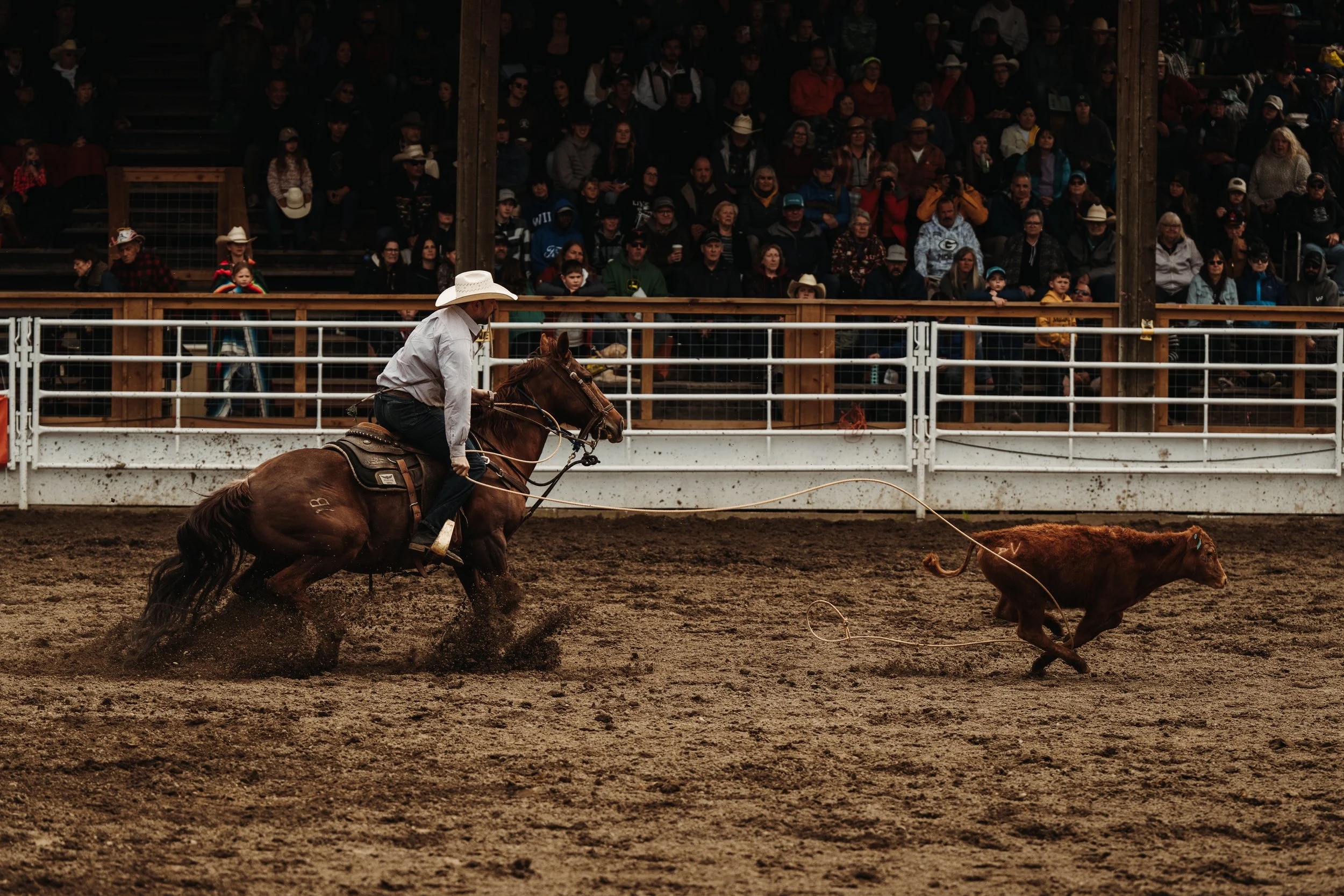 MAY 19 2025 (Rodeo)-16.jpeg