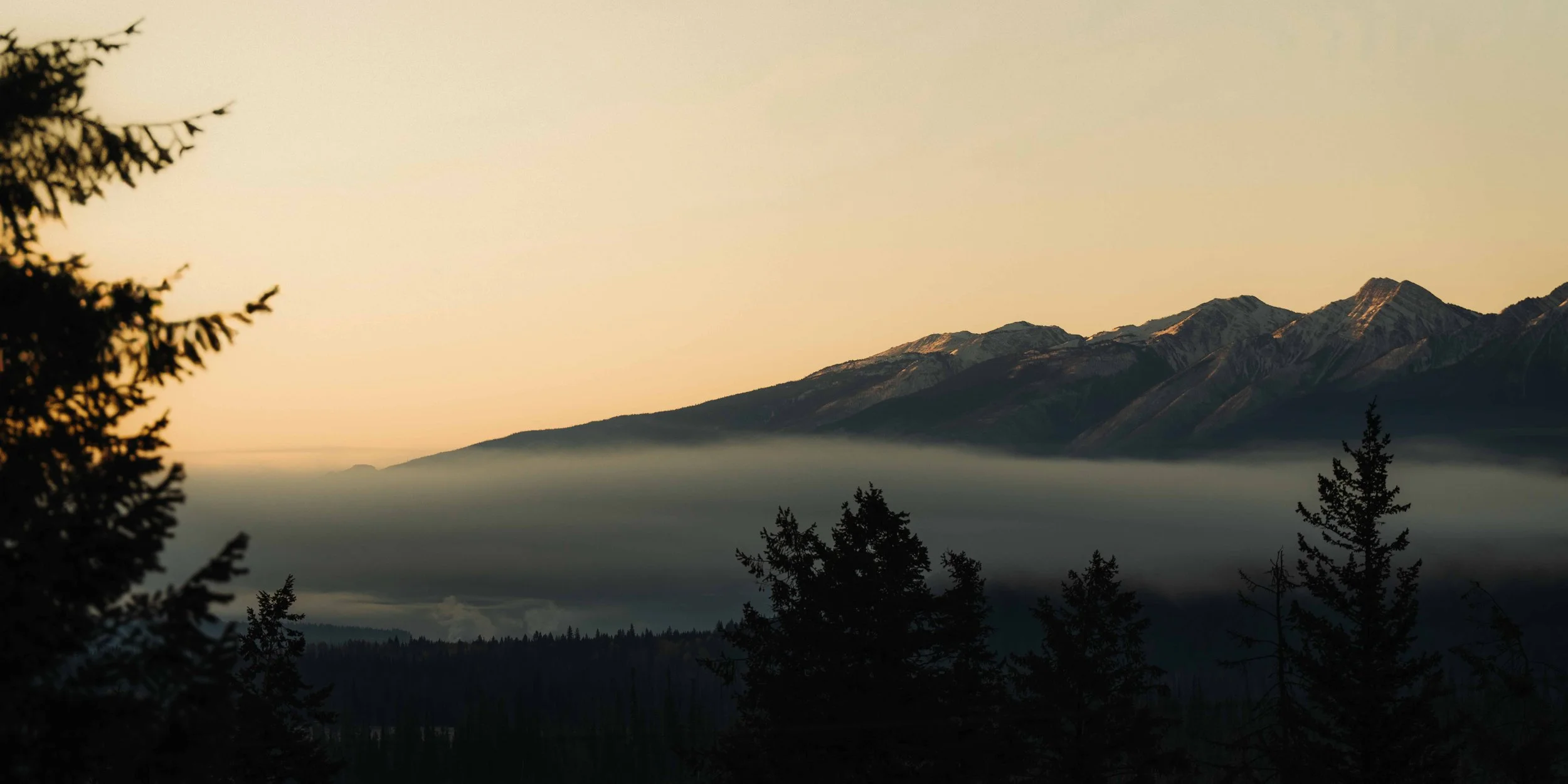 website versions -05.jpg