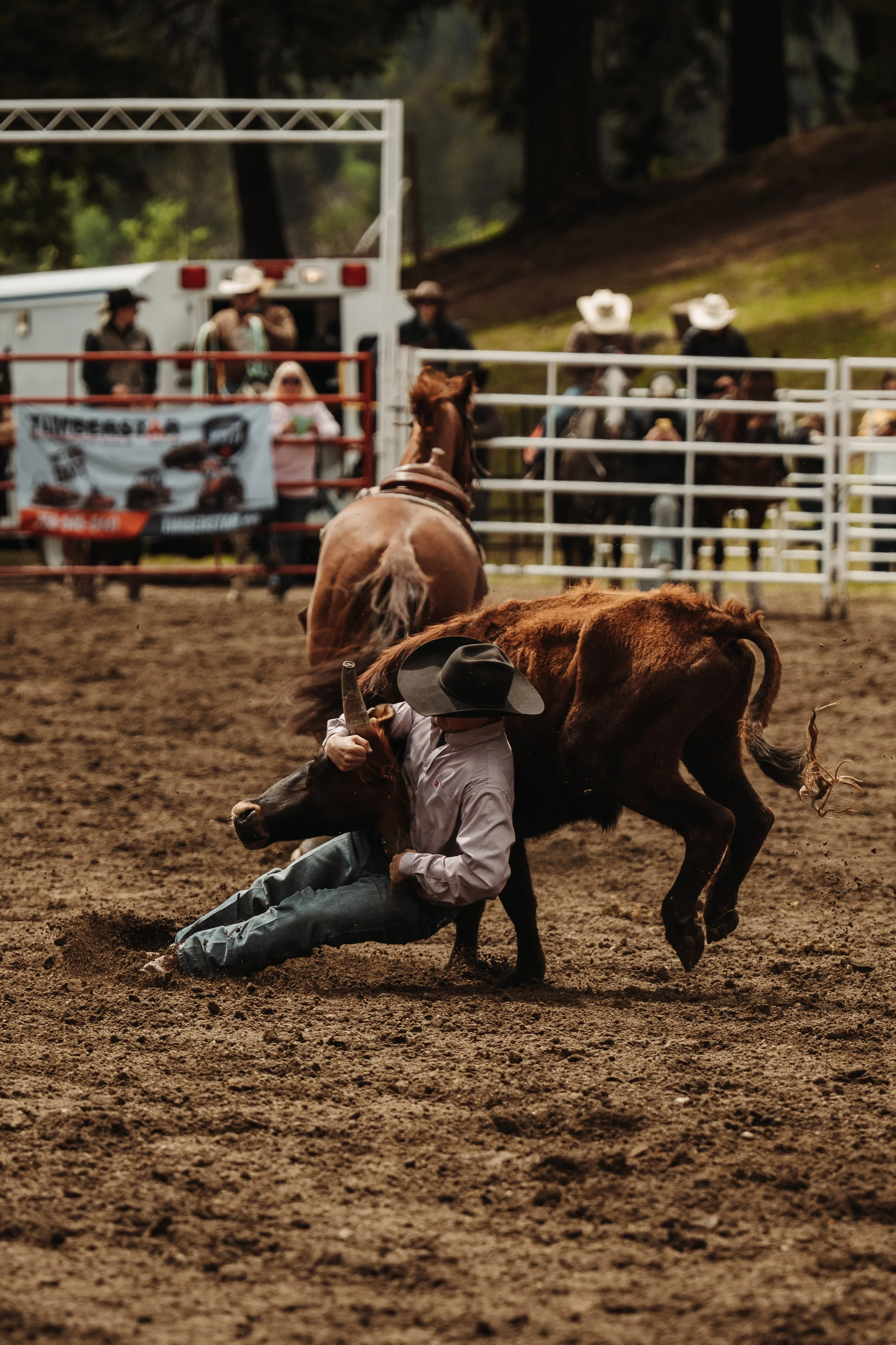 MAY 19 2025 (Rodeo)-19.jpeg