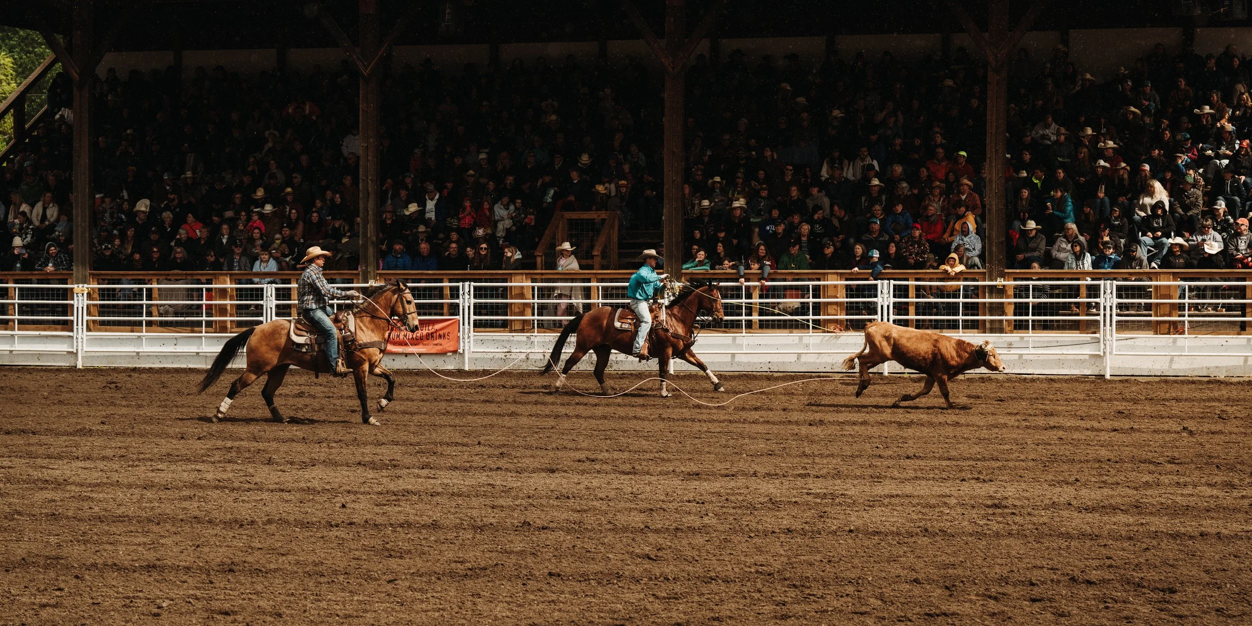 MAY 19 2025 (Rodeo)-07.jpeg