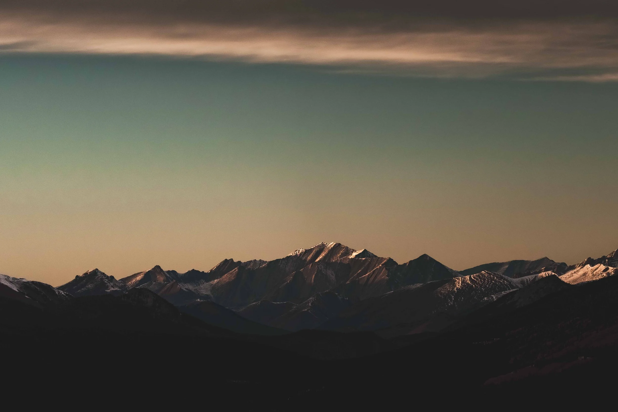 website versions -03.jpg