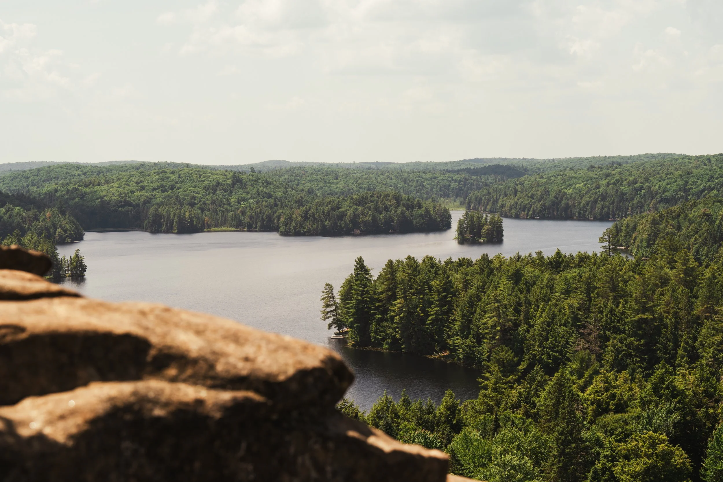 Algonquin 2023-16.jpg