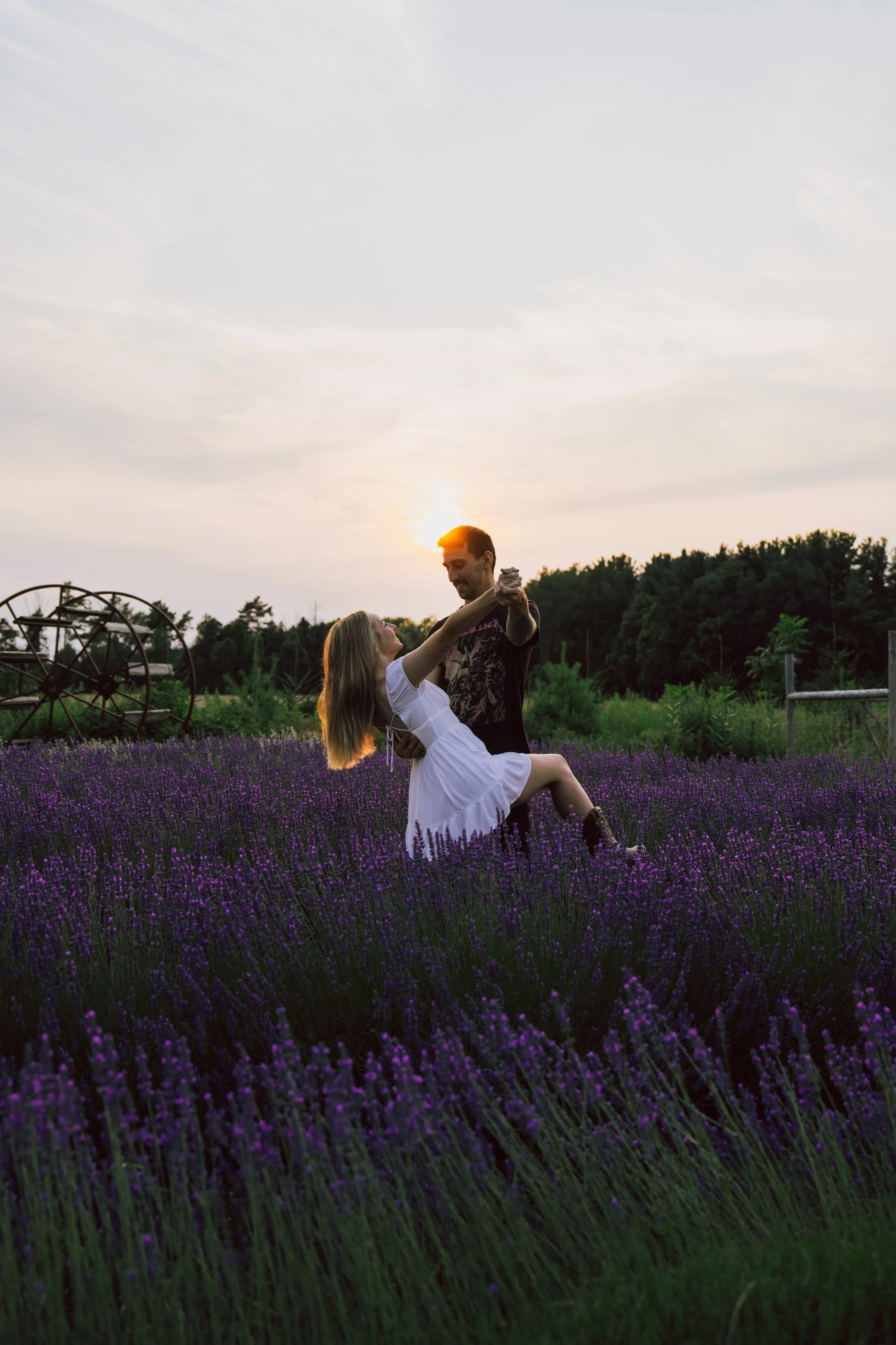 Lavender-05.jpg