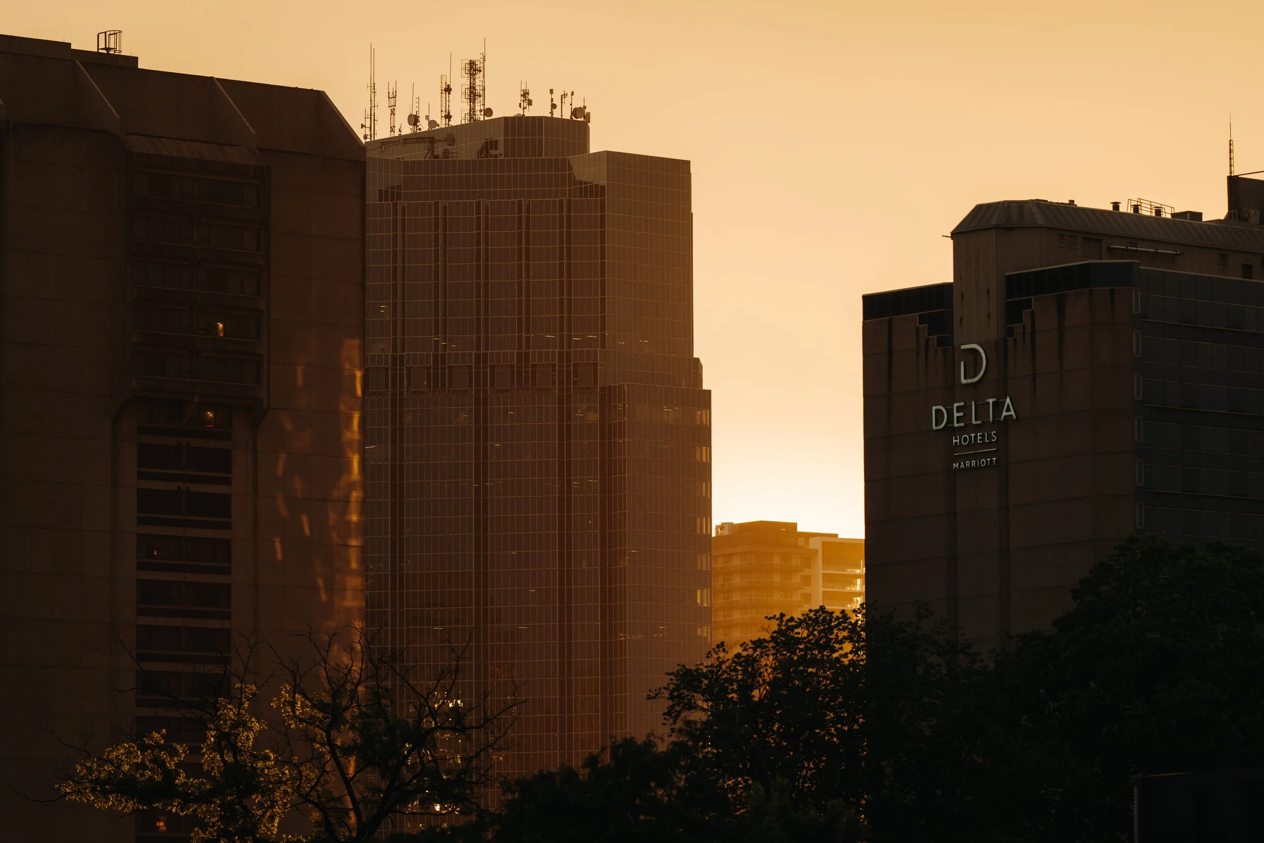 The Sunset -08.jpg
