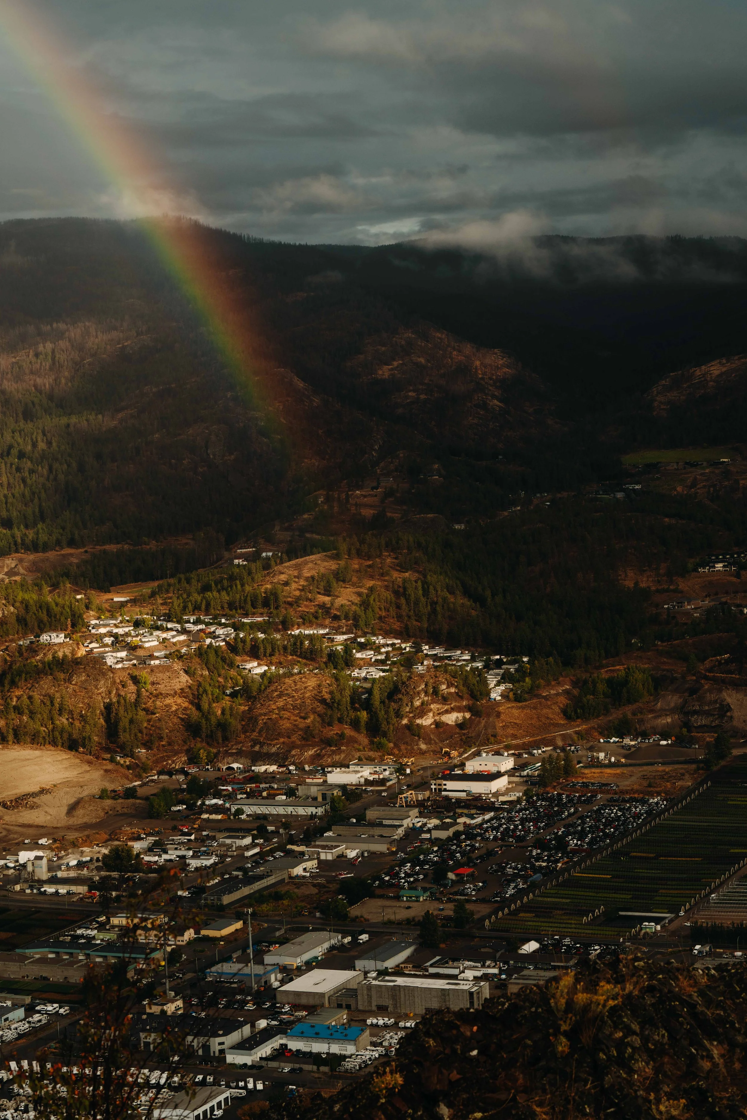 website versions -07.jpg