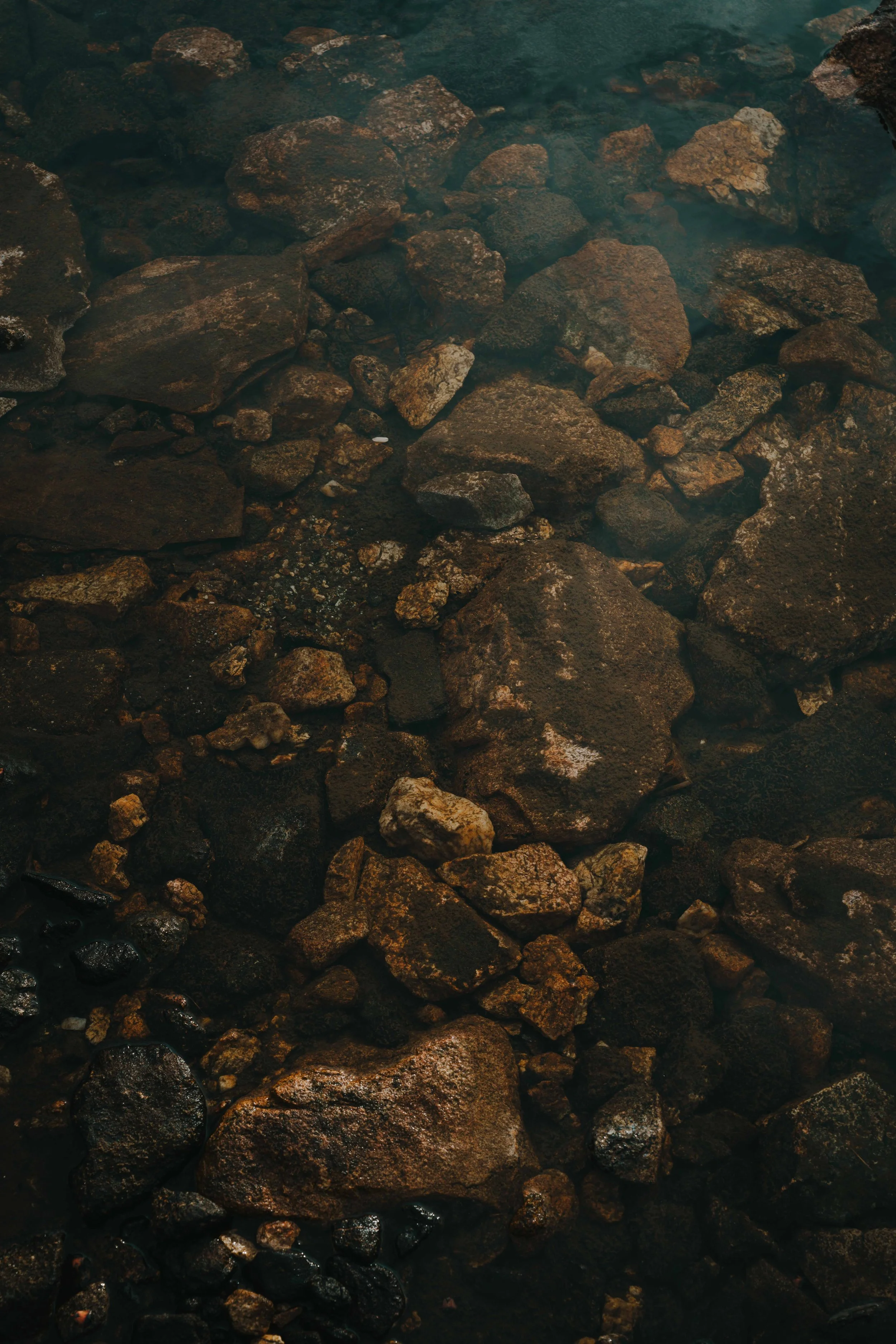 website versions -09.jpg