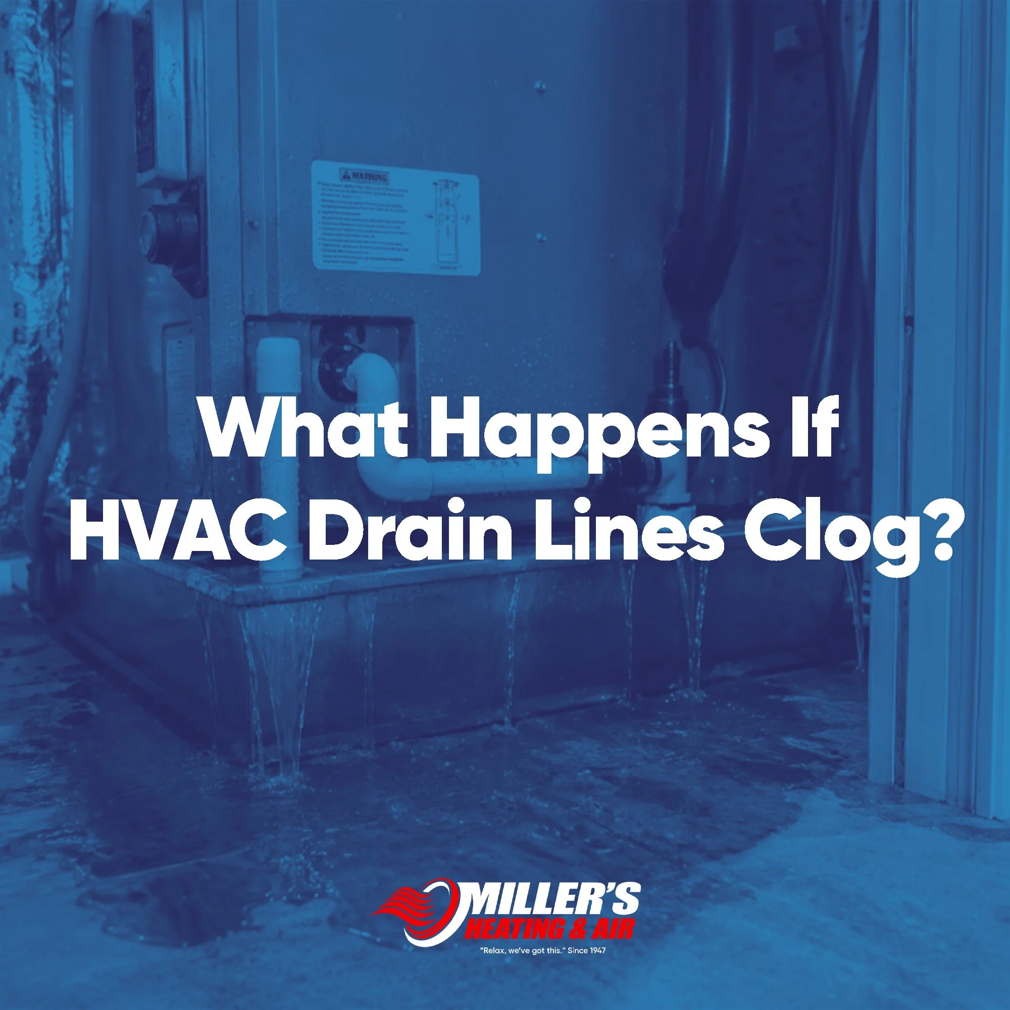What Happens If HVAC Drain Lines Clog?