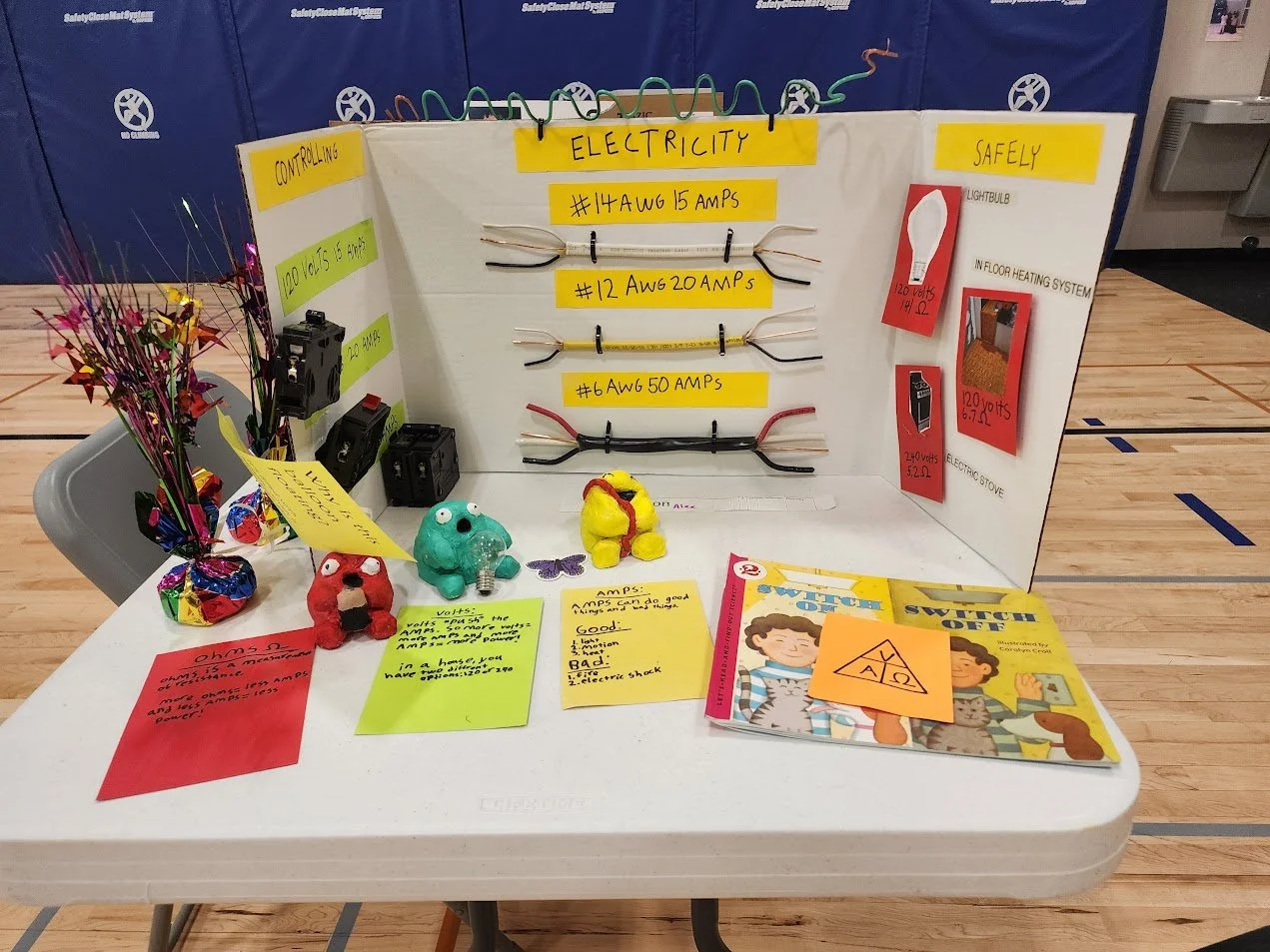 Science Fair