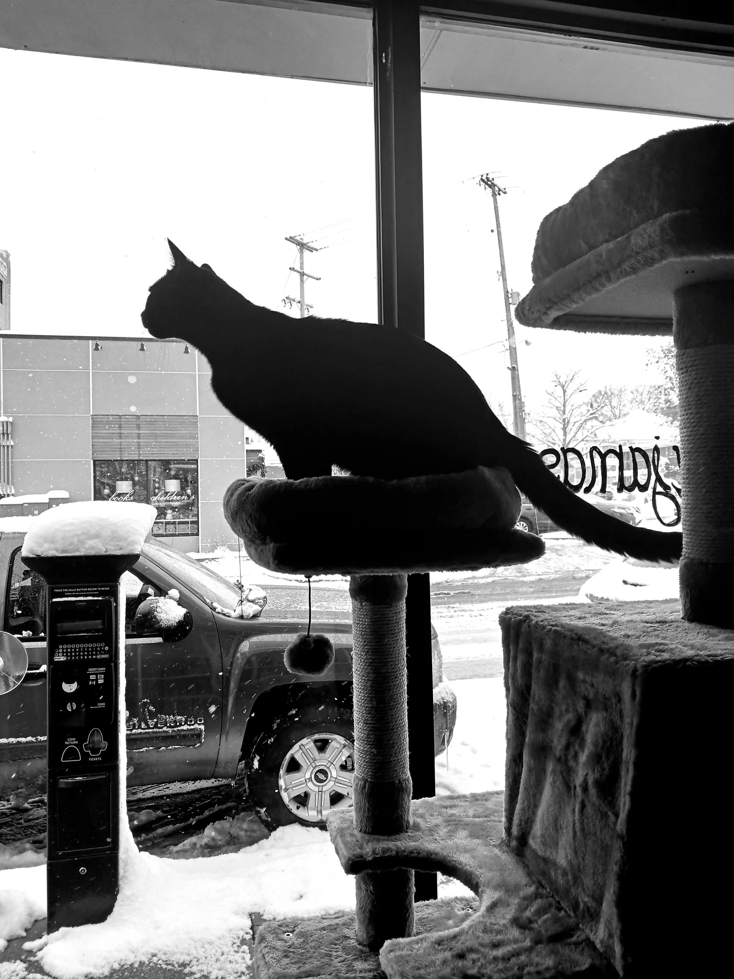 Services — The Cat's Pajamas Hotel