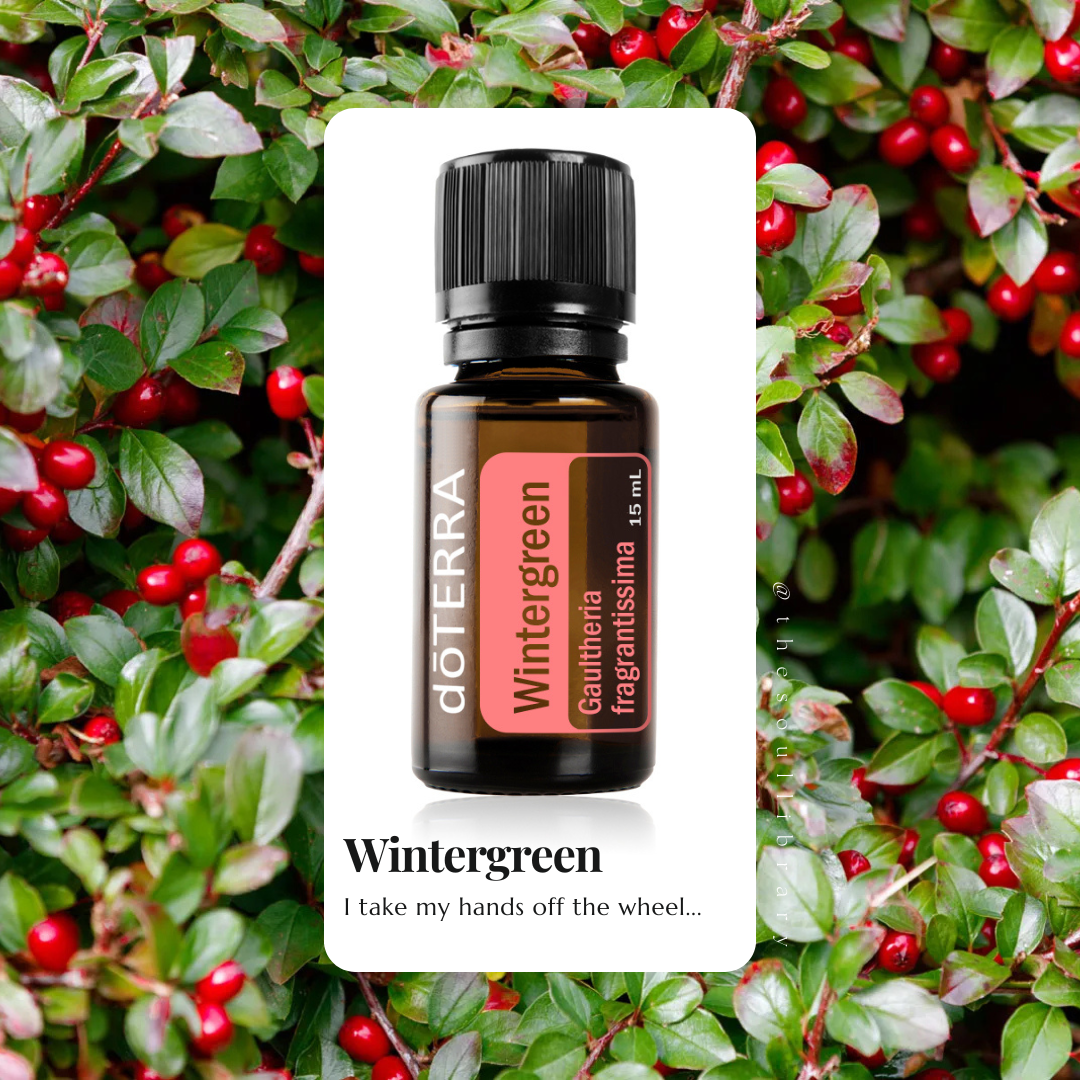 oil of the month - wintergreen