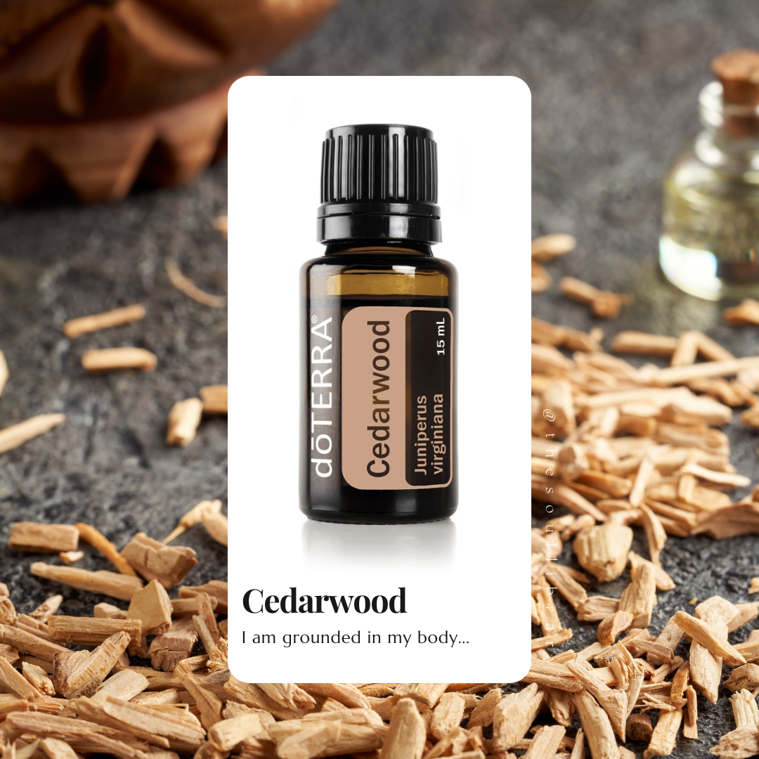 Oil of the month - cedarwood