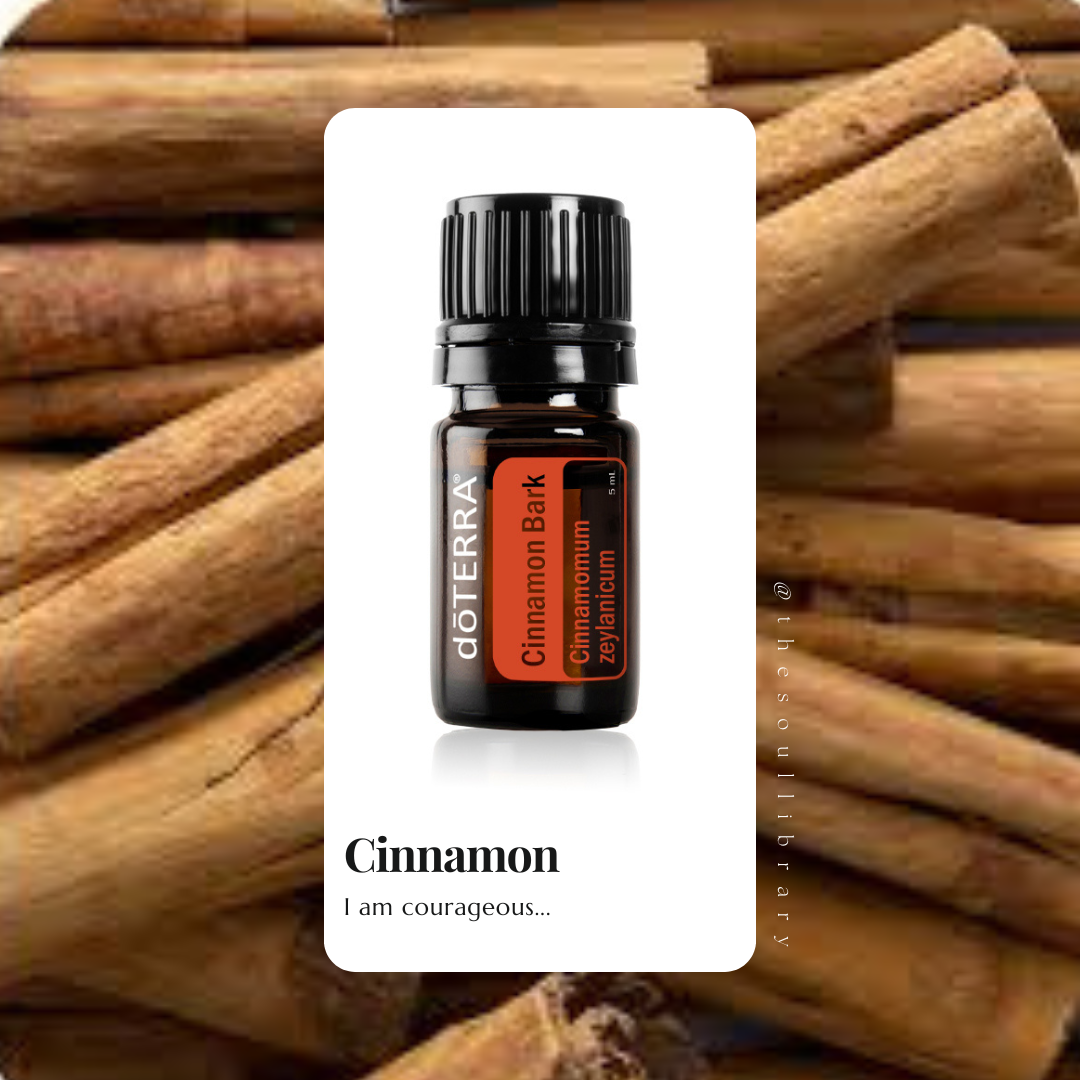 oil of the month - cinnamon