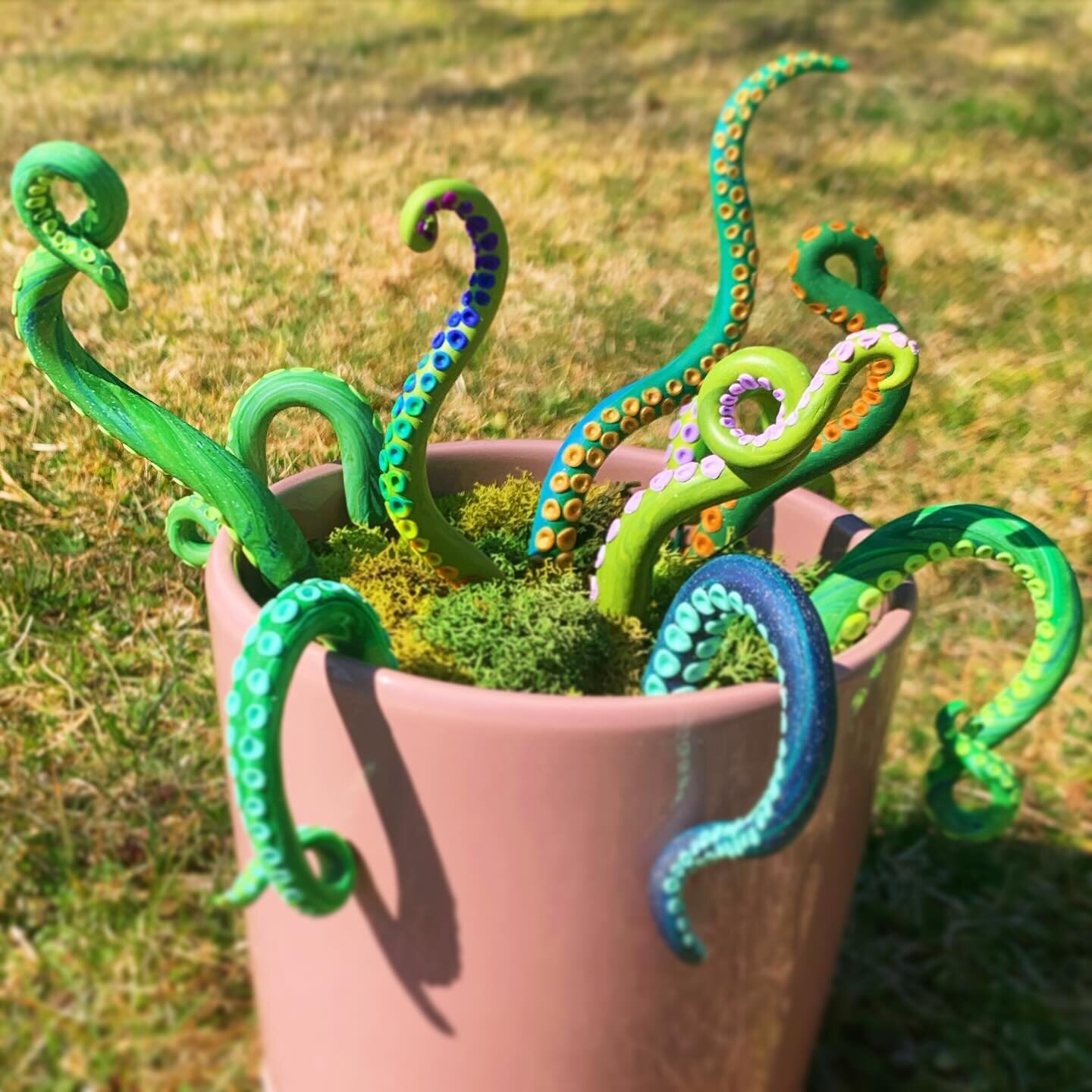 ✨ Just in! 🐙 Add some whimsy to your plants 🪴 
✨Handmade by @planttherapywithelissa 

🌱 Open 11-6p Today

#smallbusiness #shoplocal #queerowned #lgbtq #houseplants #greenvibes #prana #newton #boston #handmade