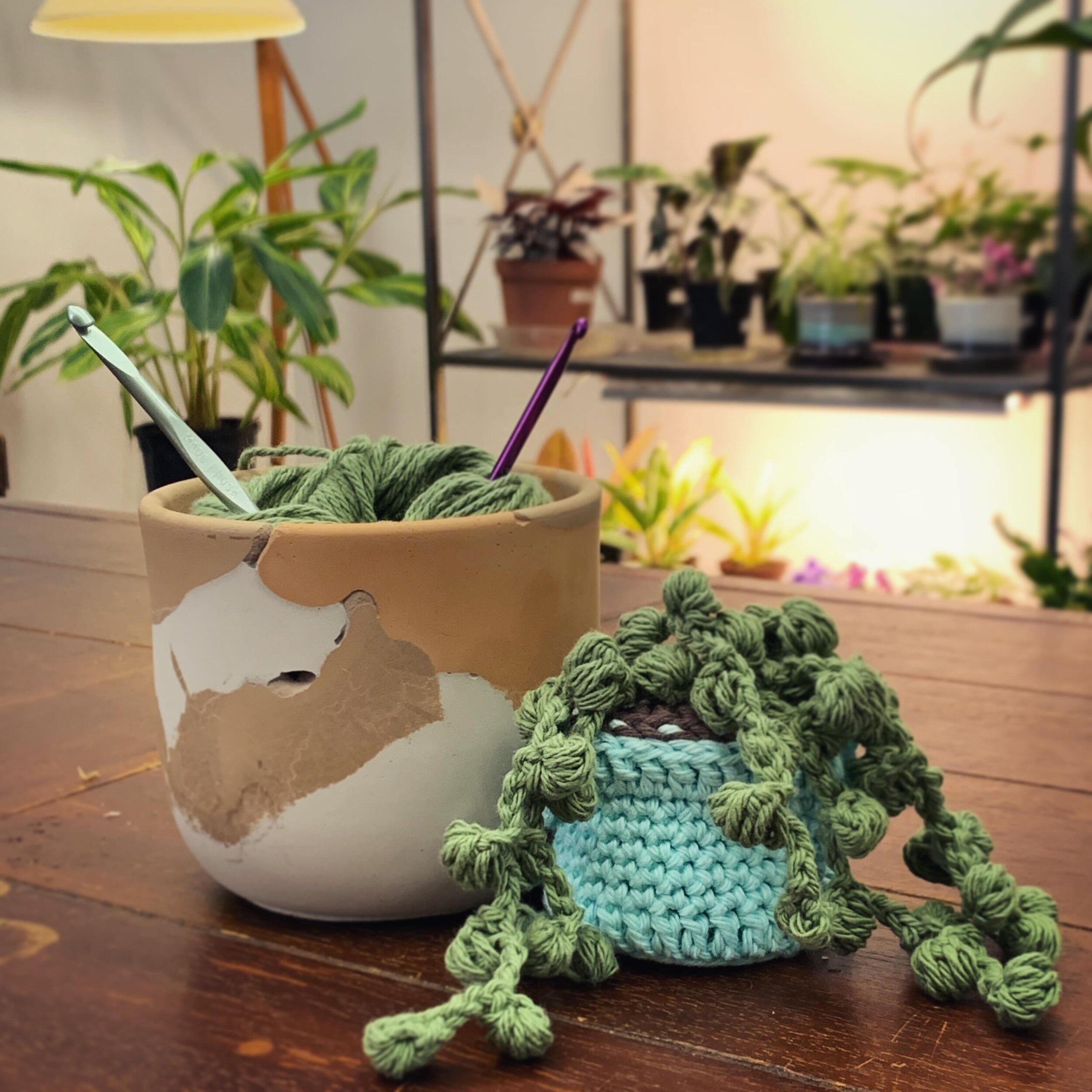 🧶 🪡 Crocheting up more String of Pearls 🌱 

#smallbusiness #shoplocal #queerowned #lgbtq #houseplants #greenvibes #prana #newton #boston #handmade