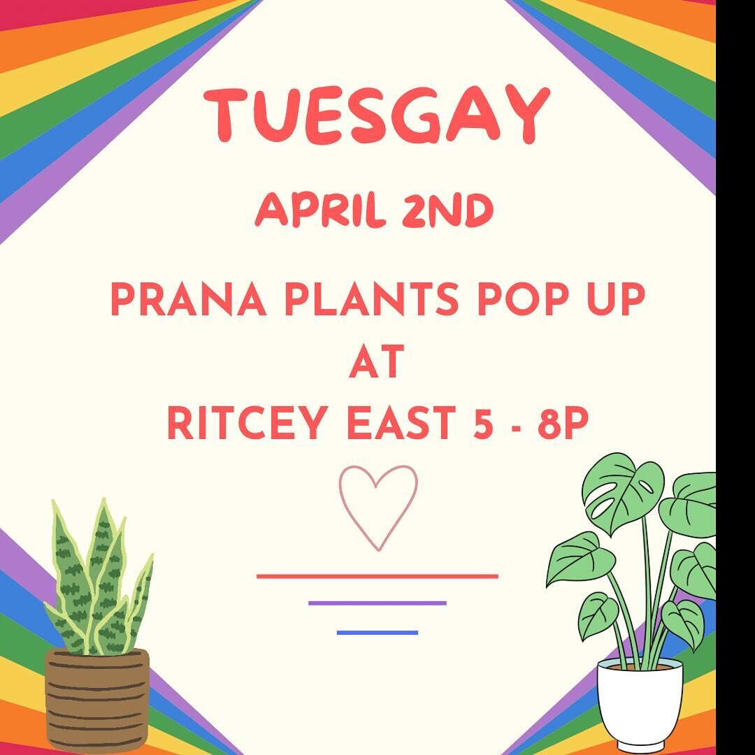 ✨The first Tuesday of every month @ritceyeast is Tuesgay 🌈  Find me there with all the planty goodies 🌱

#smallbusiness #shoplocal #queerowned #lgbtq #houseplants #greenvibes #prana #newton #boston