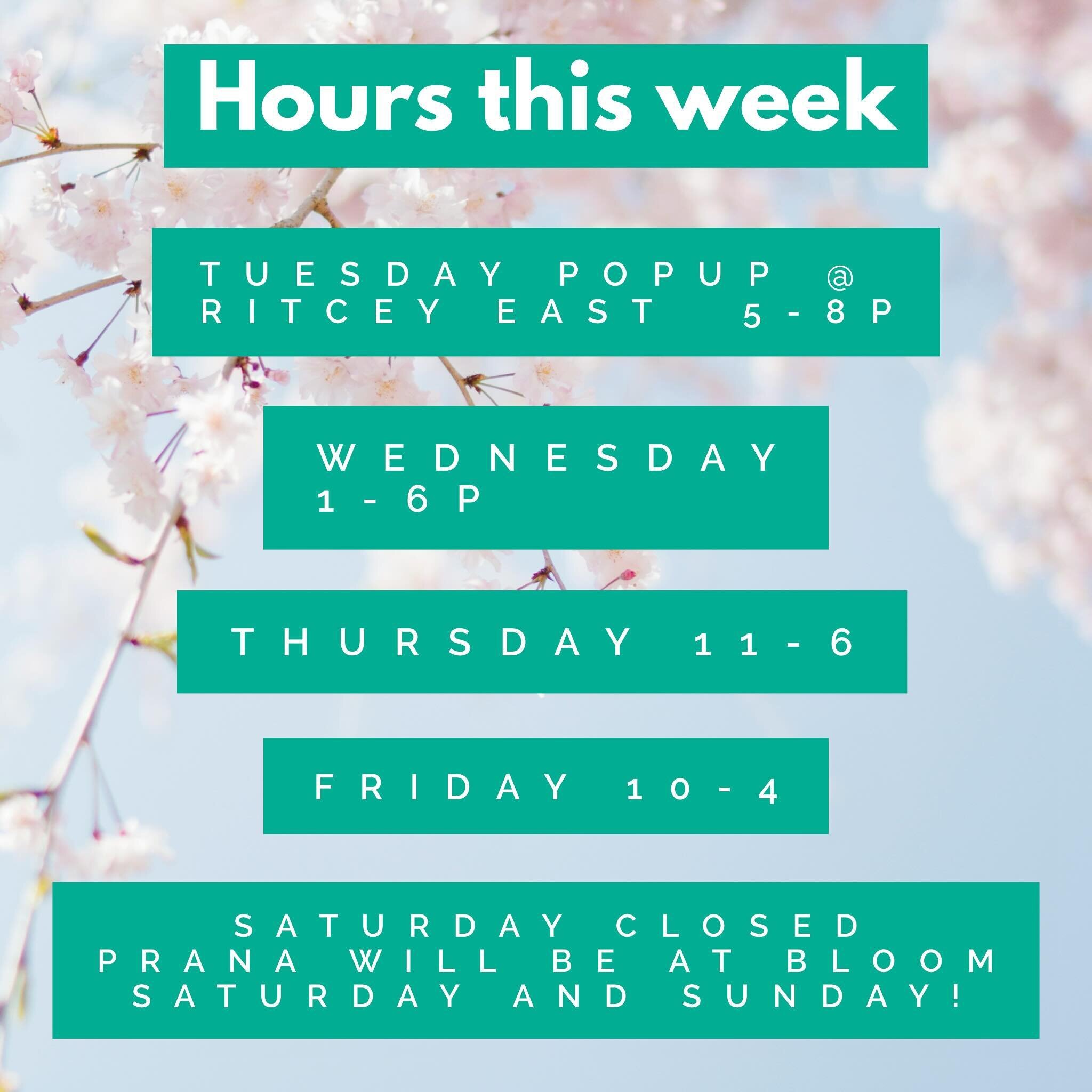 ☀️ This week is pack with fun! TuesGay @ritceyeast and @bloomflowerandhome the whole weekend! 
Store hours will be slightly modified for restock and prep!

#smallbusiness #shoplocal #queerowned #lgbtq #houseplants #greenvibes #prana #newton #boston #