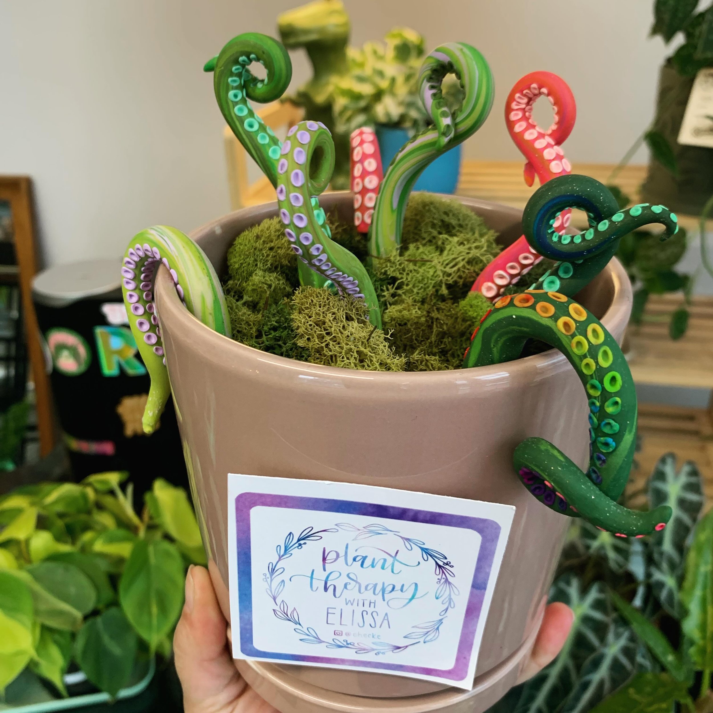 ✨🪴Restock on plant tentacles from @planttherapywithelissa 

Open 11-4p Today

#smallbusiness #shoplocal #queerowned #lgbtq #houseplants #greenvibes #prana #newton #boston #handmade #ecofriendly #local
