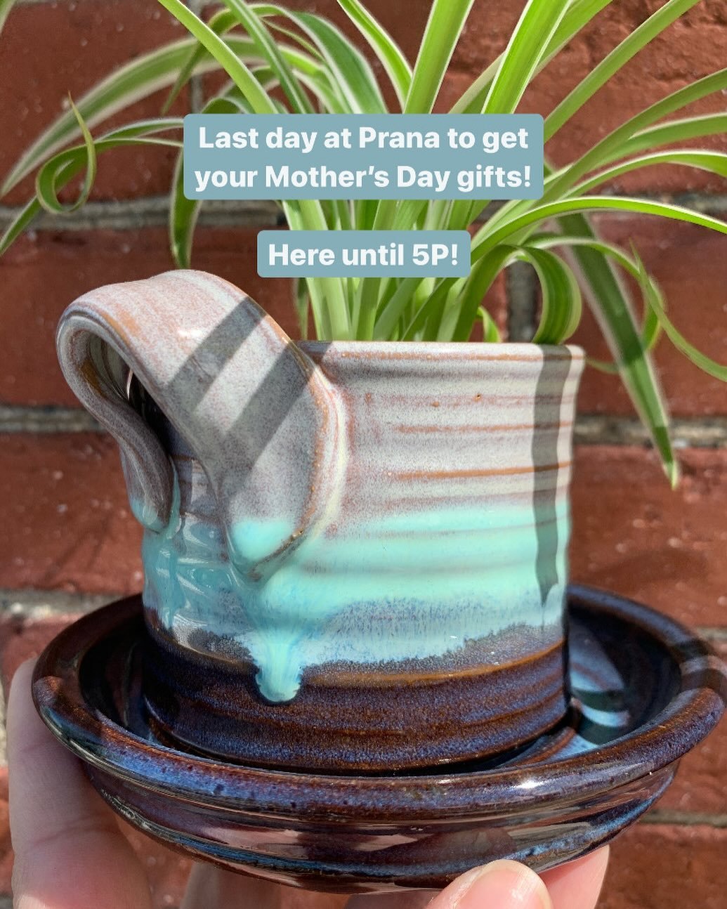 ✨Saturday I will be popping up for my hometown craft fair! See you in Granby 9-3p! 

#smallbusiness #shoplocal #queerowned #lgbtq #houseplants #greenvibes #prana #newton #boston #handmade #ecofriendly #local