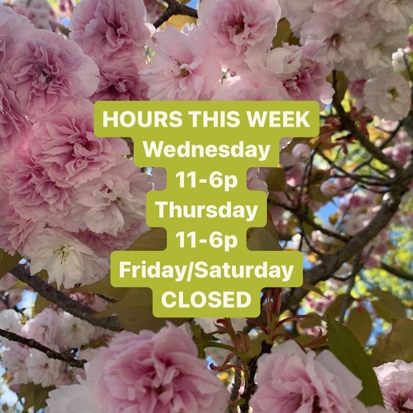 ⏰Hours are a little different this week so I can go celebrate my sister getting MARRIED! 💍✨☀️
Stop in today or tomorrow 11-6p to get your planty fix!