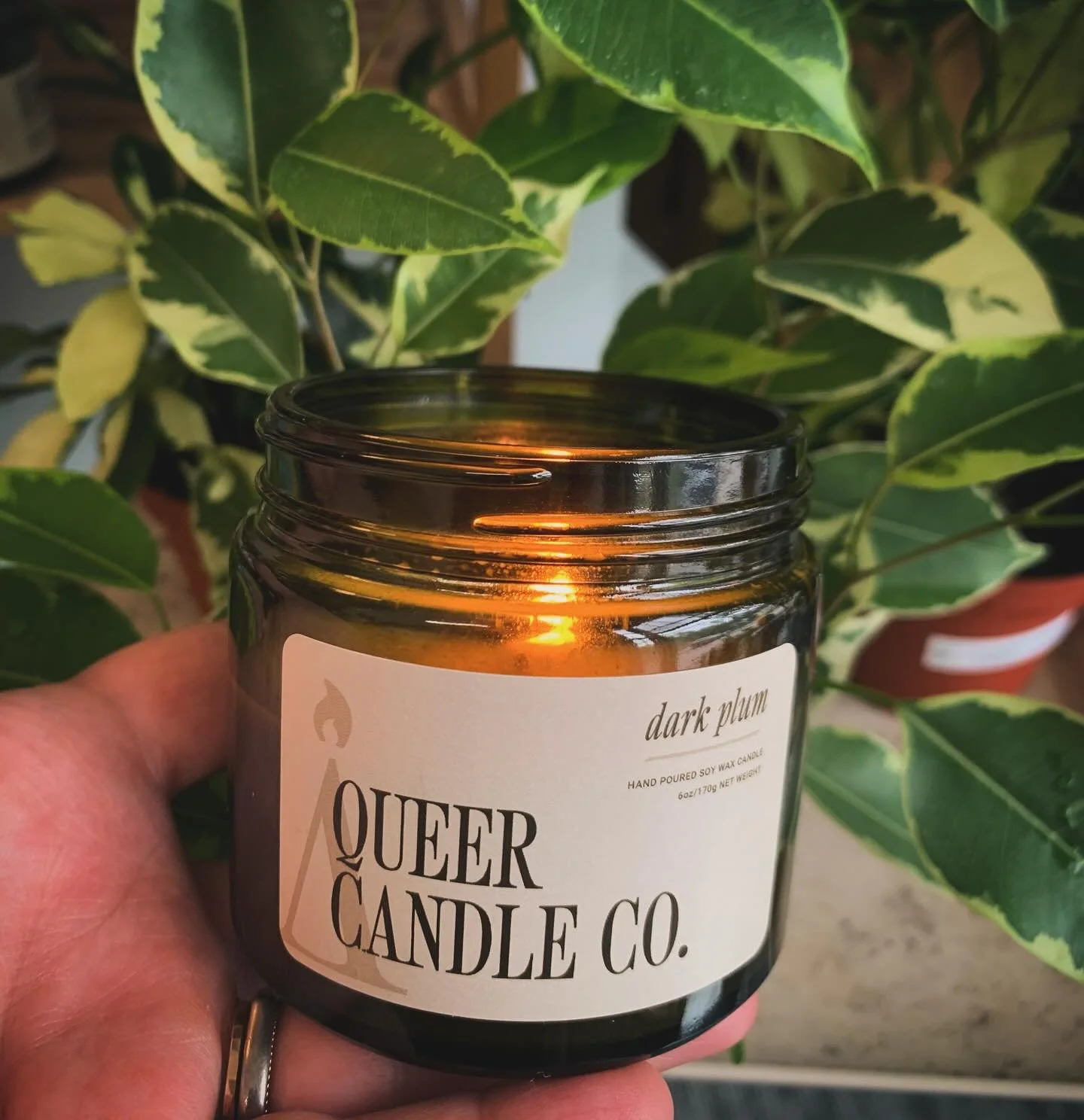 ✨Restock on @queercandleco including my fav scent Dark Plum✨

#smallbusiness #shoplocal #queerowned #lgbtq #houseplants #greenvibes #prana #newton #boston #handmade #ecofriendly #local #crochet