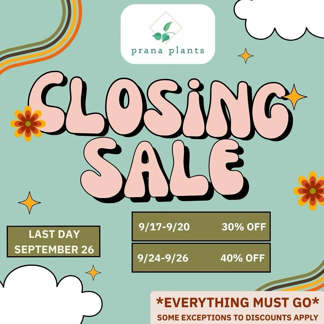 ✨ Closing sales continue!✨ 
Two weeks left of the Prana Plants storefront. 

I have loved this space and will cherish having had this opportunity as I move forward with Prana. Getting to connect with plant lovers and beginners alike has been what it&