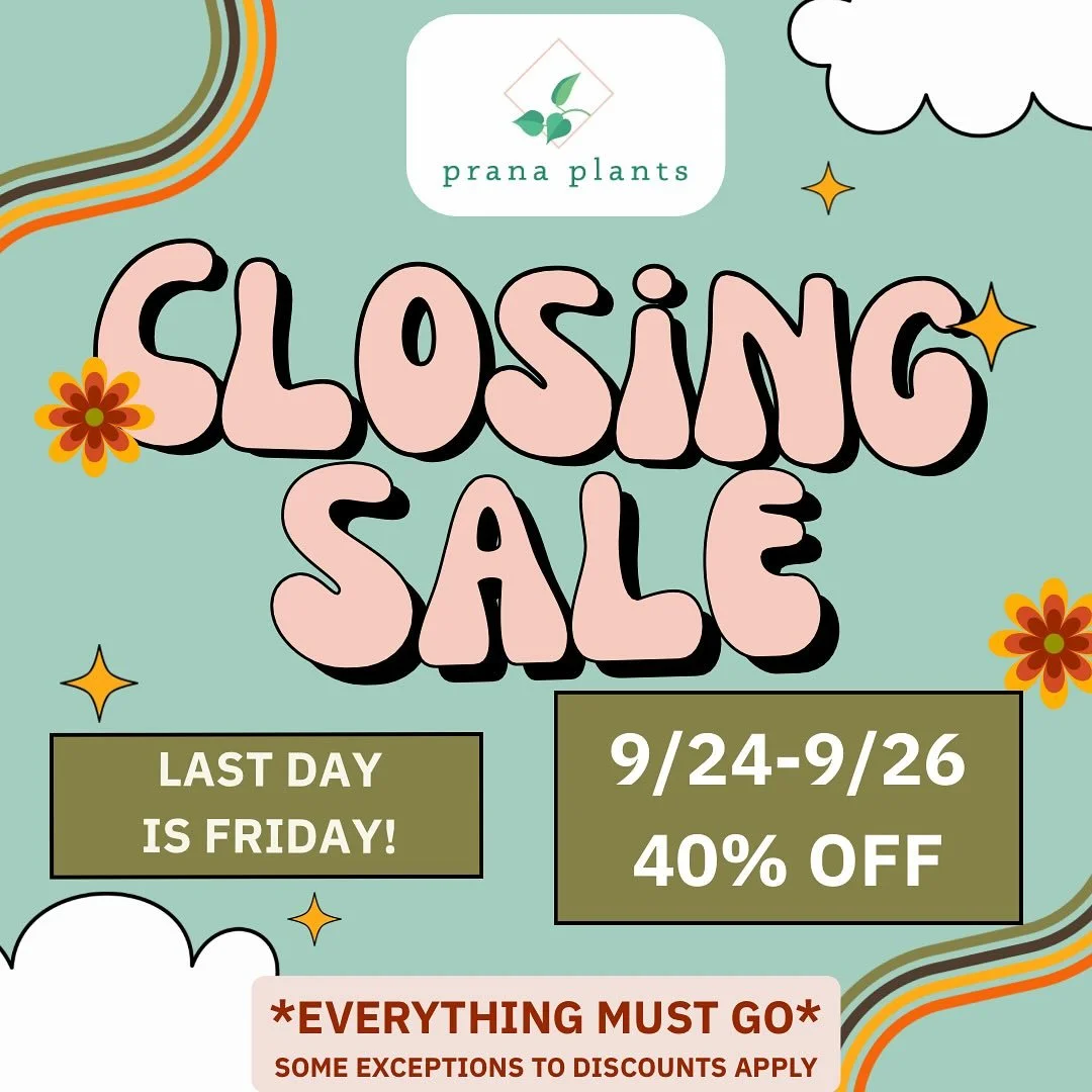 🪴40% off in store this week!🪴
Friday is Prana&rsquo;s last day of the store front! Fresh plants have been stocked, and I still have many goodies! I will update throughout the week with what&rsquo;s available!

🪴Store hours this week🪴
Wednesday 11