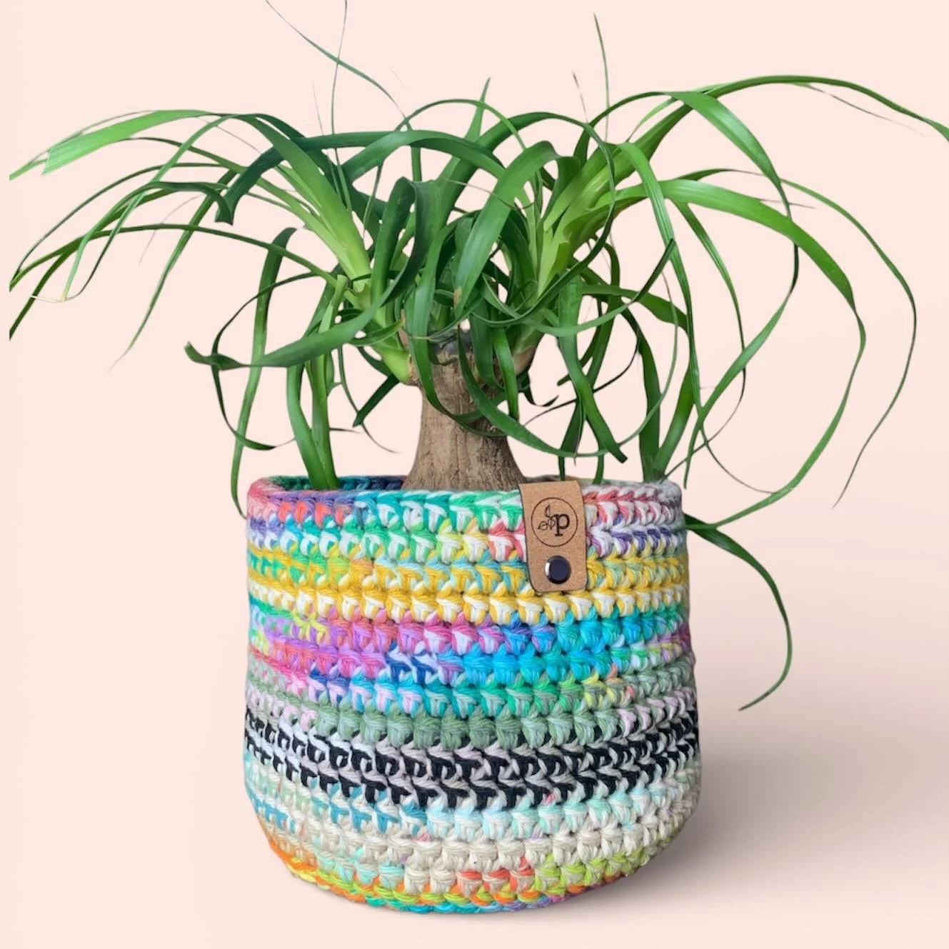 🪴 Scrappy Plant Basket 🪴

All my yarn scraps don&rsquo;t go to waste, I tie them together to form a new strand and thus a one of a kind basket is made!

#smallbusiness #shoplocal #queerowned #lgbtq #houseplants greenvibes prana newton boston handma