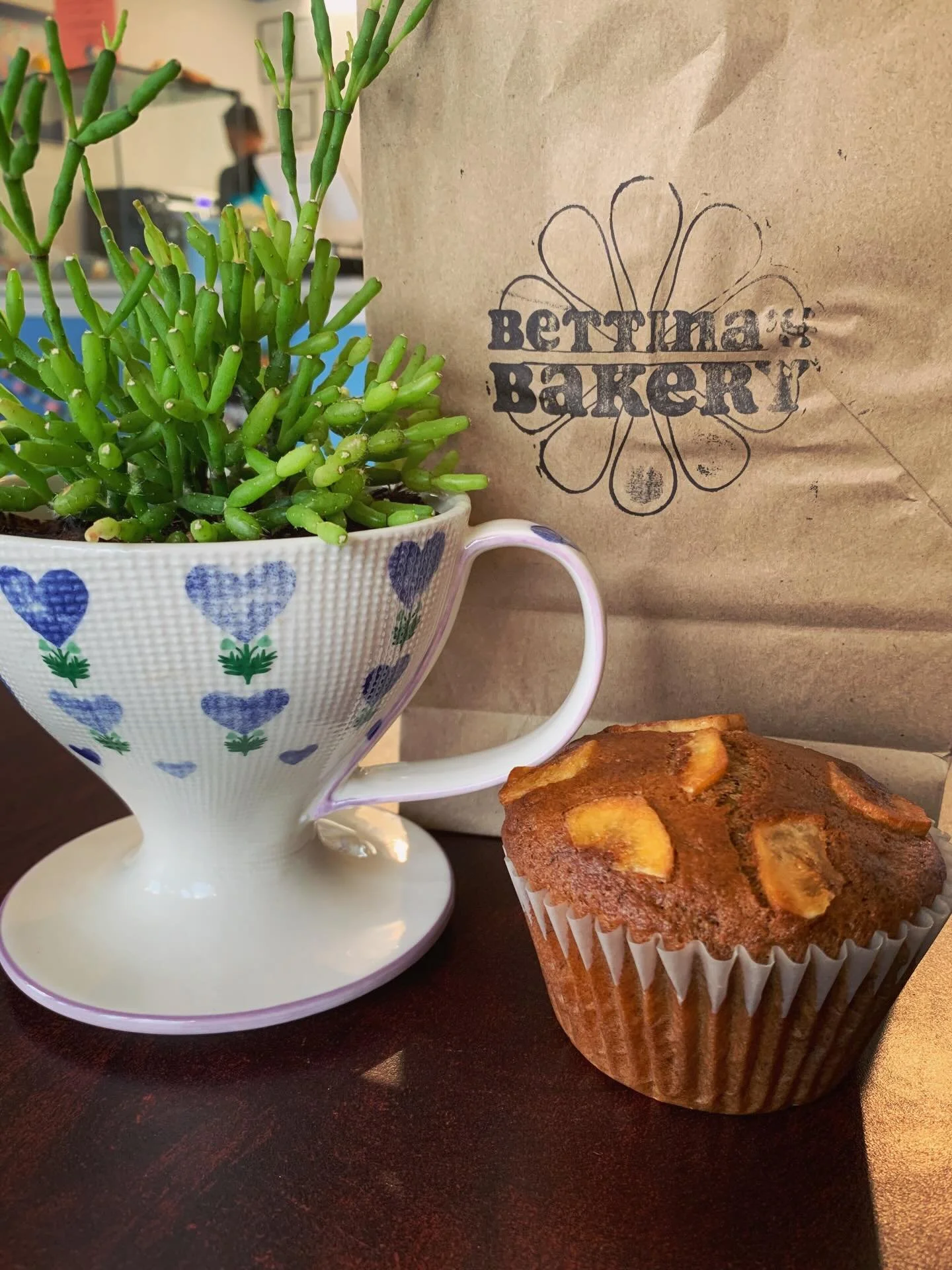 🪴 Spring planty popup tomorrow! Come get a new plant baby and delicious eats @bettinasbakery 

⏰ 10 - 3p

#bakedgoods #shoplocal #houseplants #lgbtq #newton
