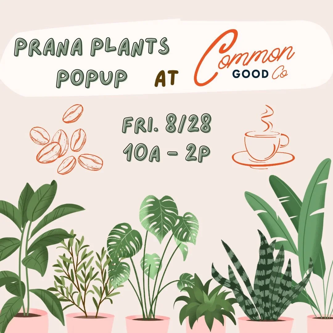 Plants. Coffee. Need I say more 🌱☕ See you there!