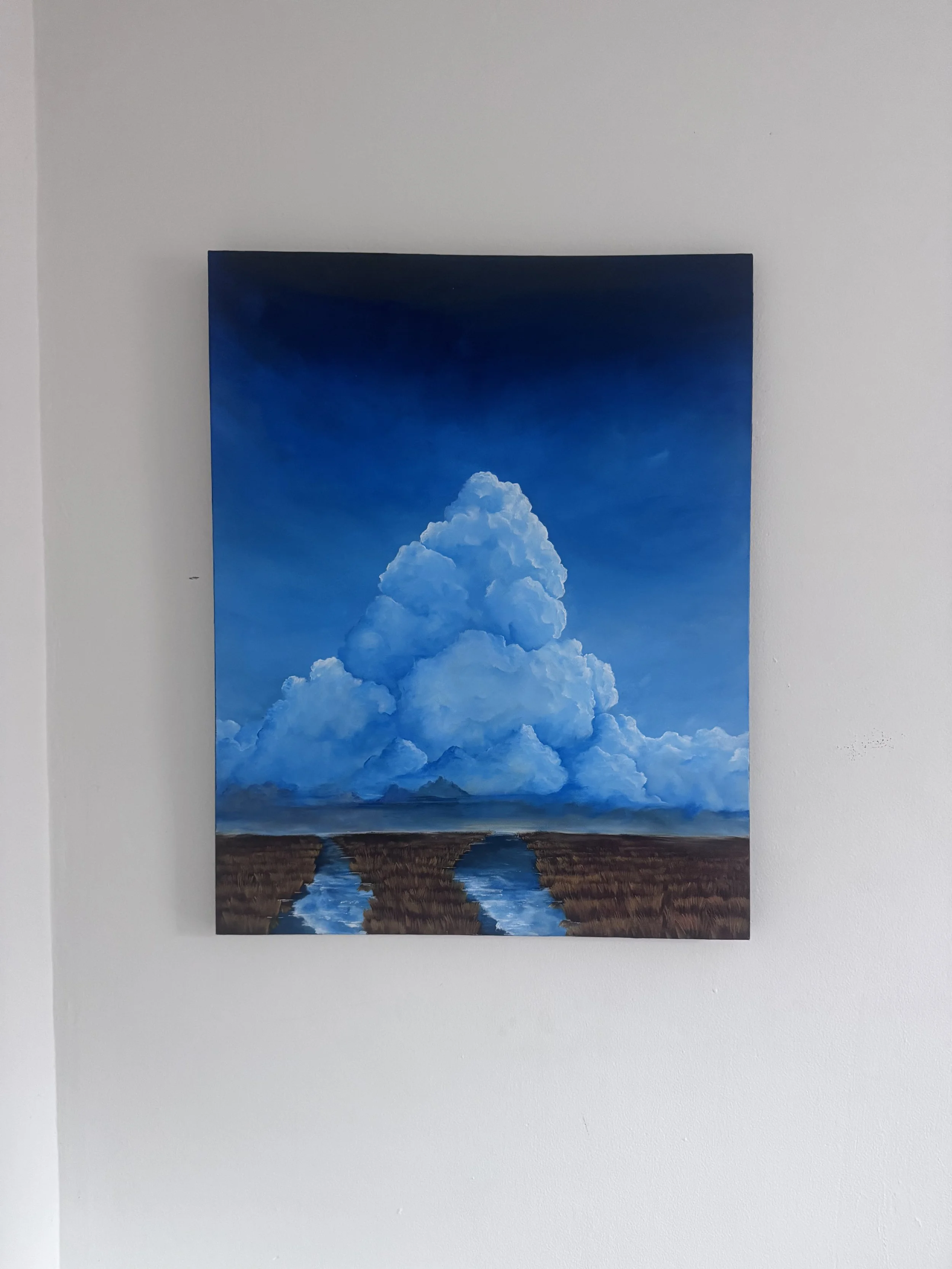 Moody Phalo Wetlands