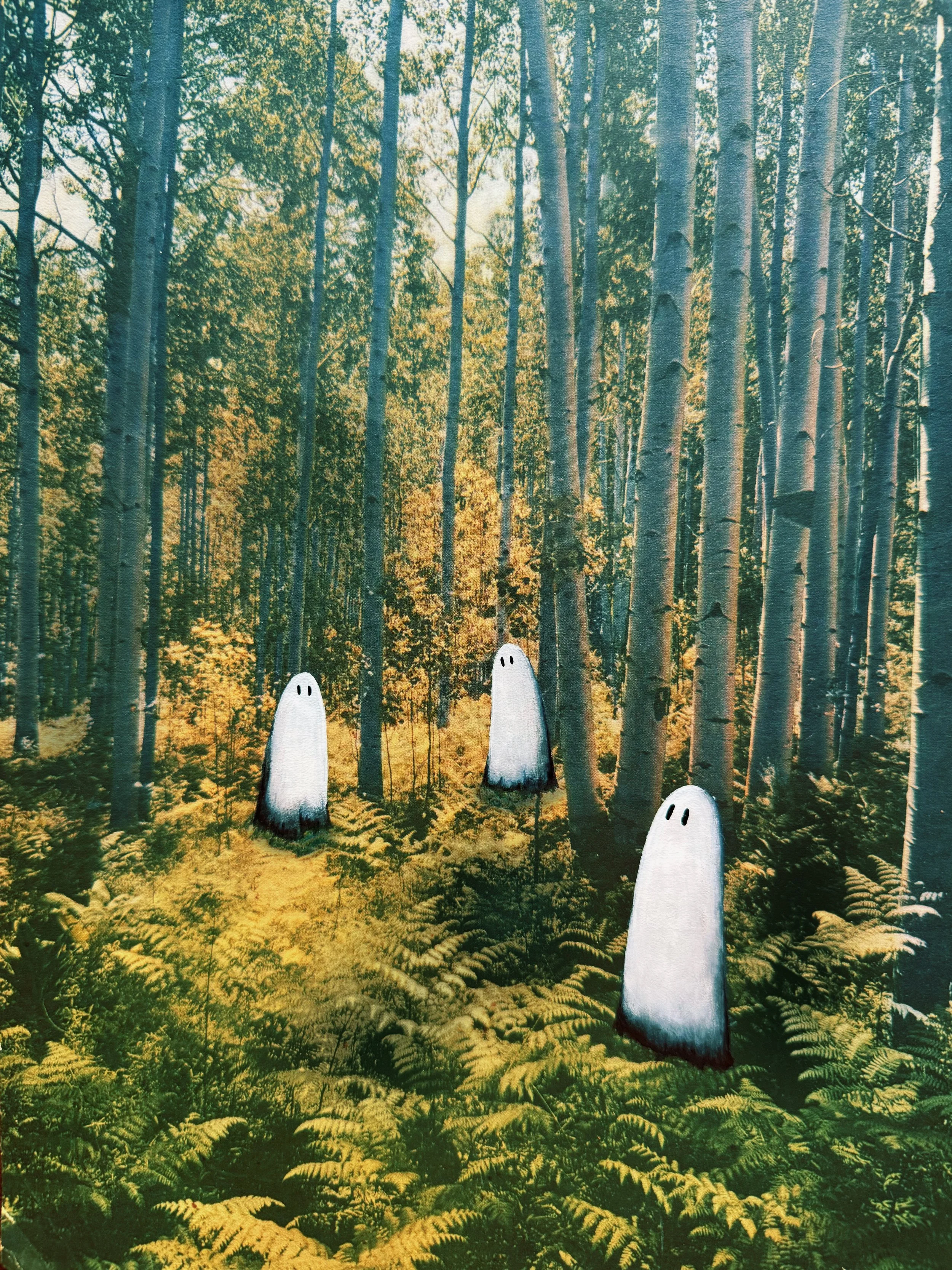 A Walk in the Woods