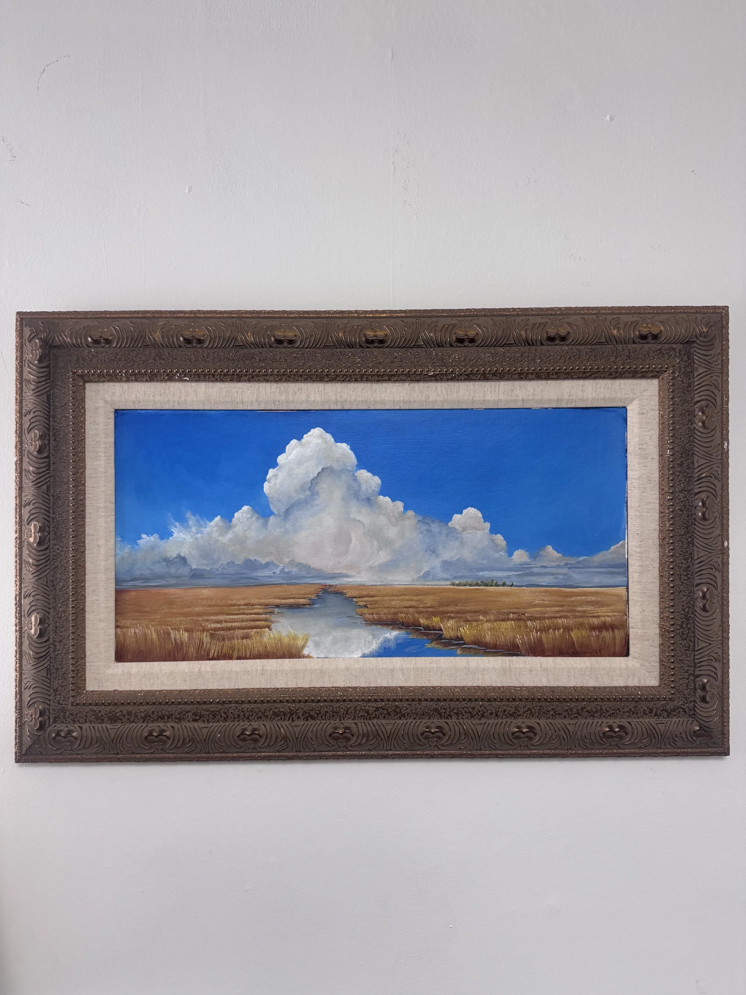 Oncoming Storm Over Wetlands